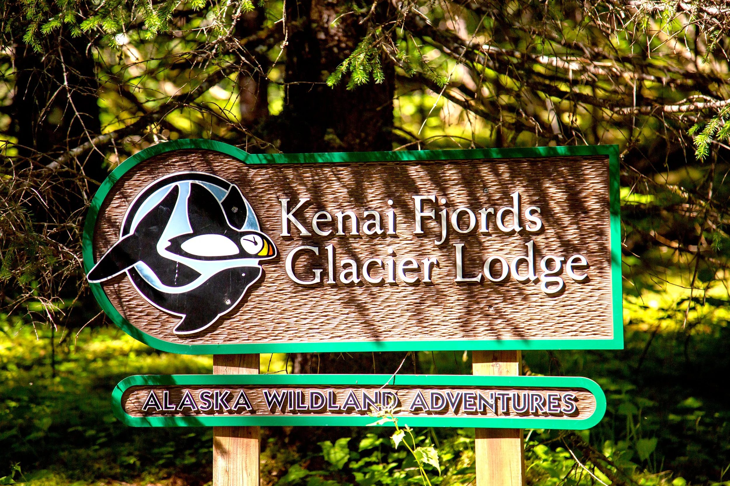 Wooden Kenai Fjords Glacier Lodge sign with a puffin logo, surrounded by evergreen trees and dappled sunlight.
