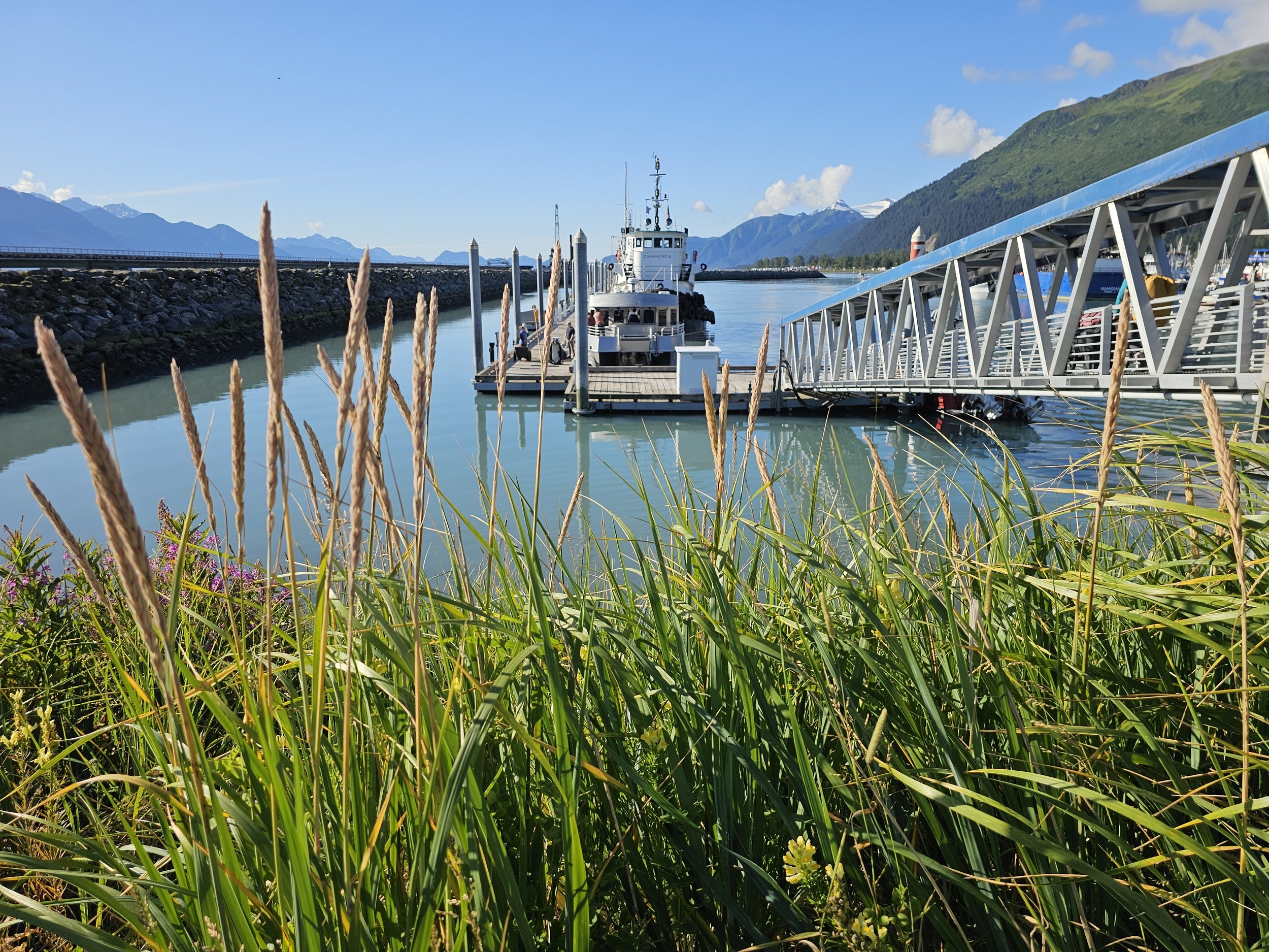 Boat docked in Seward harbor under clear blue skies, with green grasses in the foreground and mountains visible around Resurrection Bay.
