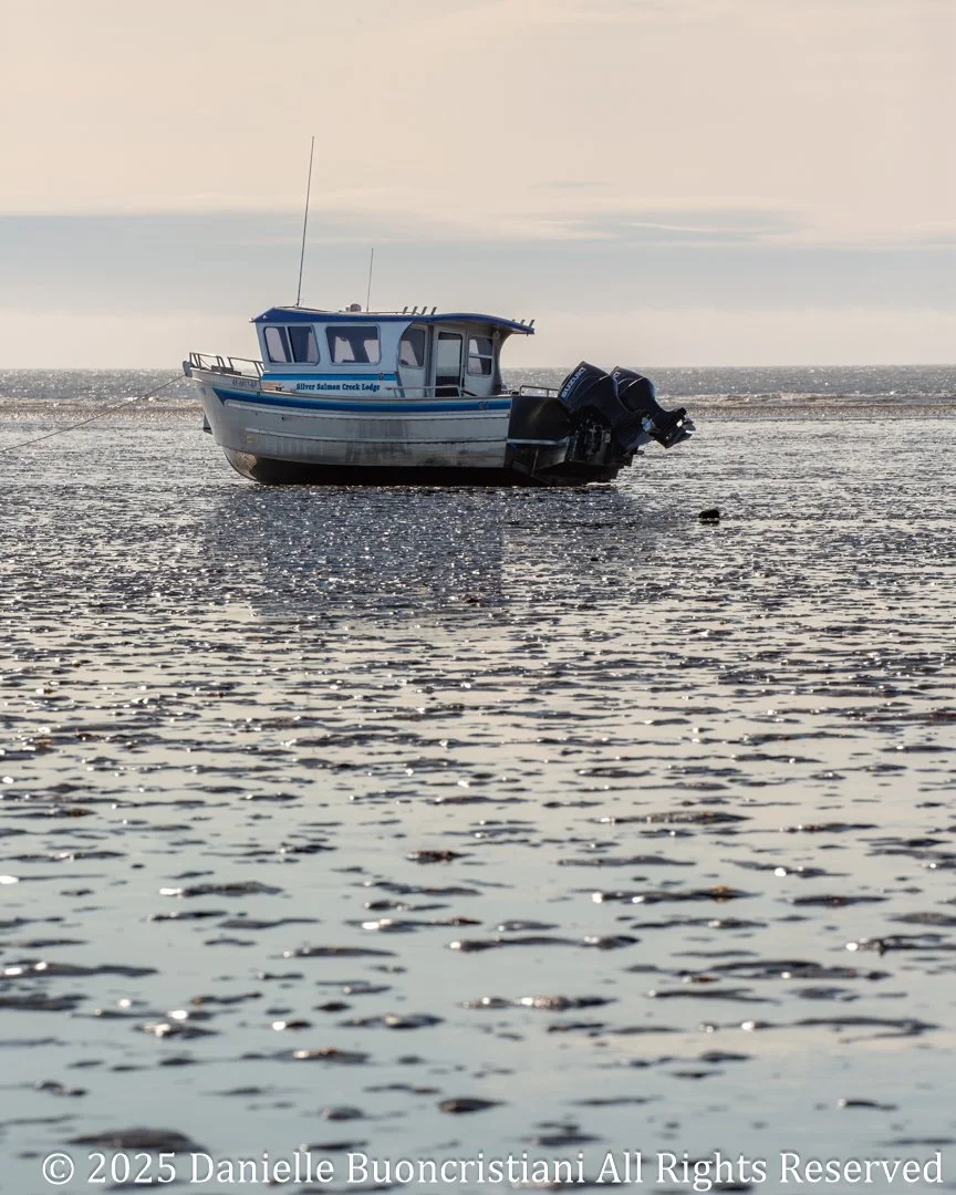 Week 8 - Leaving the Wild, Carrying It With You