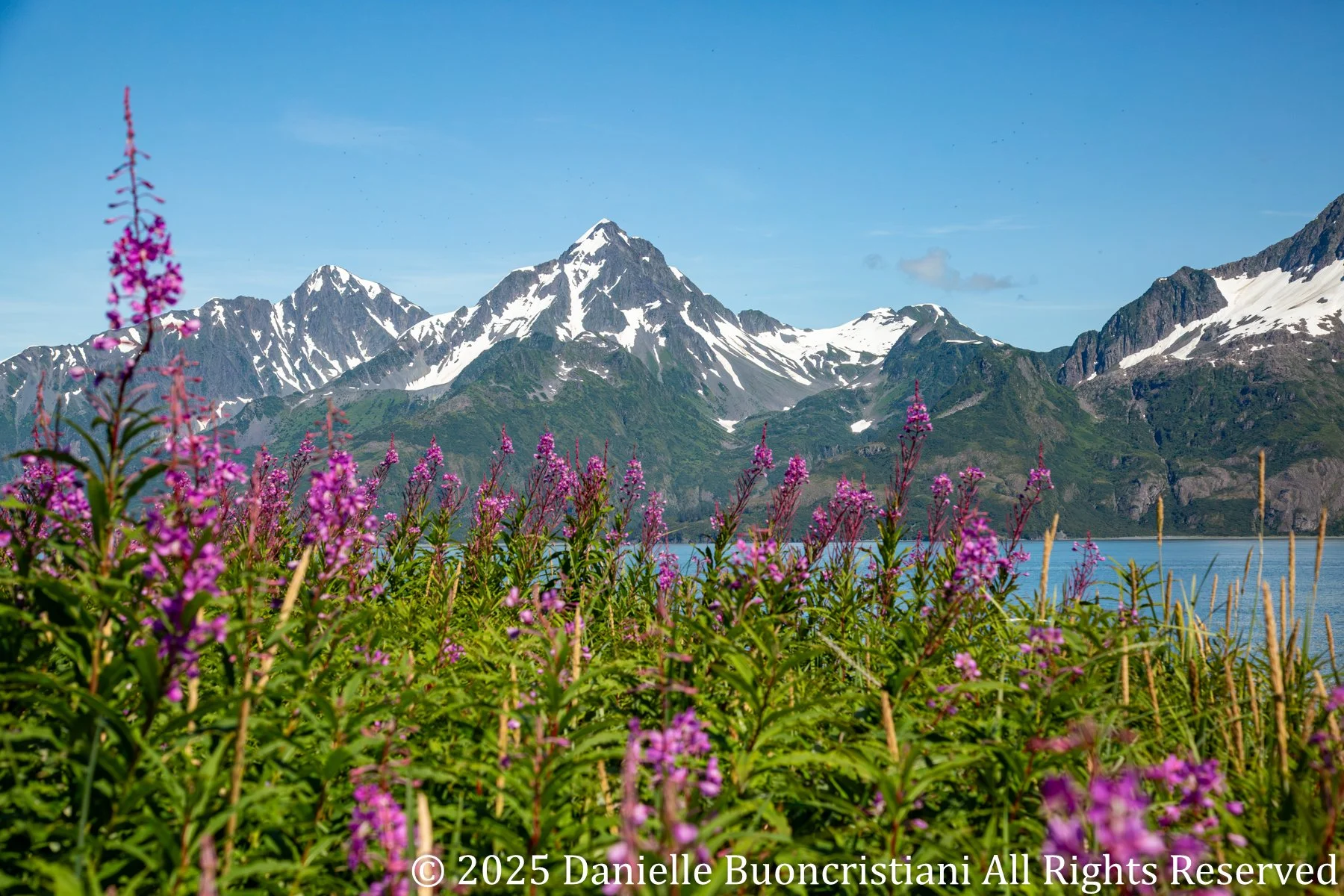 Week 16: Kenai Fjords