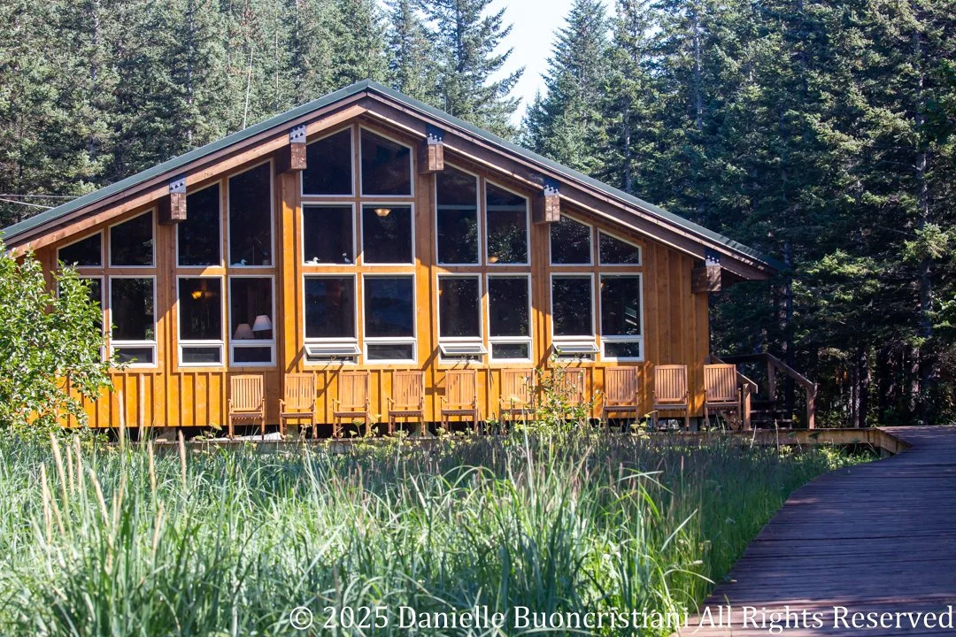 Wood lodge building surrounded by tall evergreen trees in Kenai Fjords National Park, Alaska, with large windows and a boardwalk leading through tall grass.