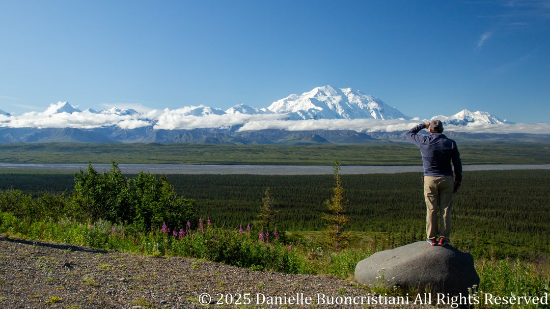 Man standing on a rock overlook, looking toward Mount Denali and the Alaska Range under clear skies, with forested valleys and braided river below.