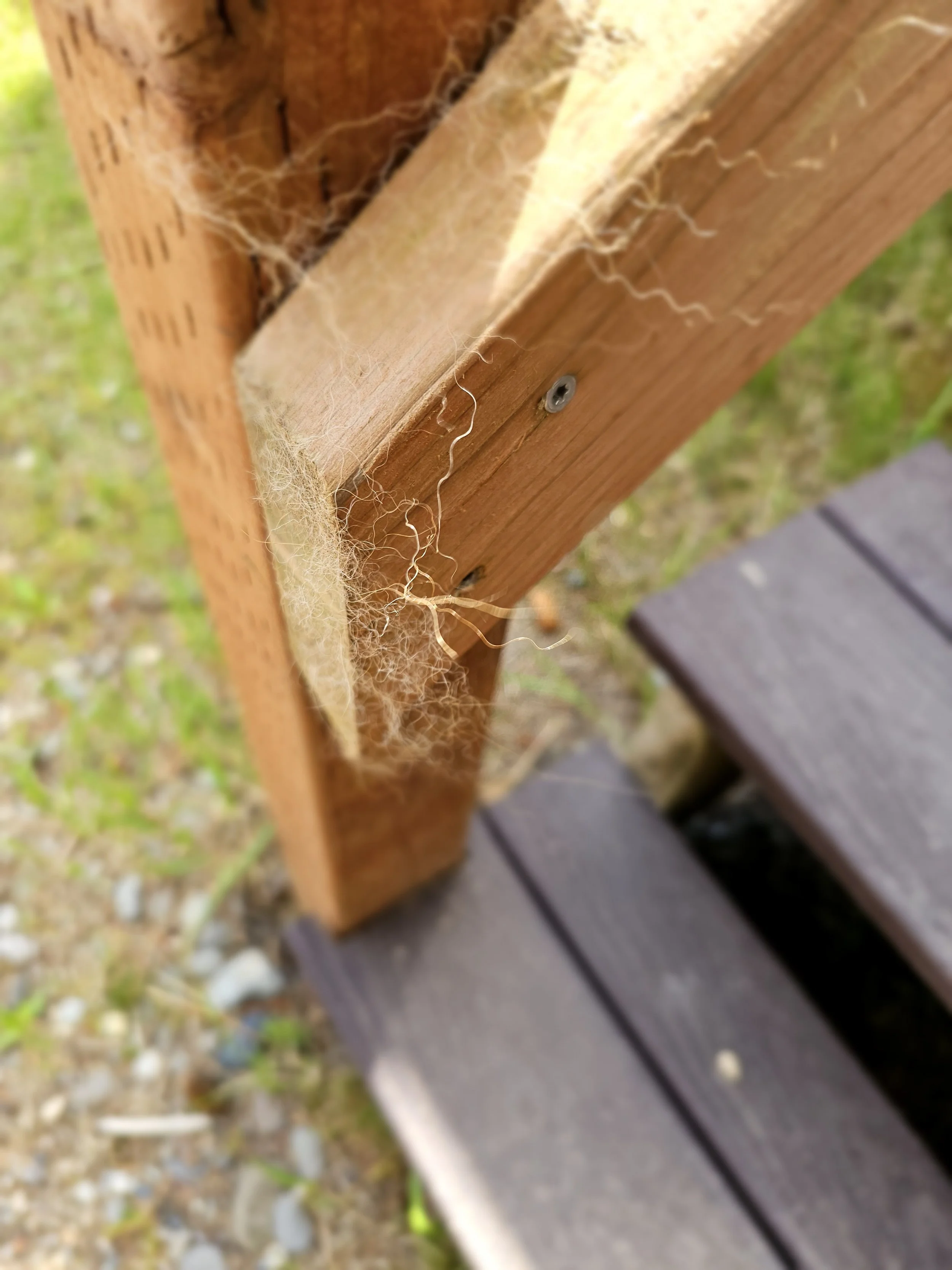 Close-up of brown bear hair left on a wooden cabin deck railing at Silver Salmon Creek Lodge