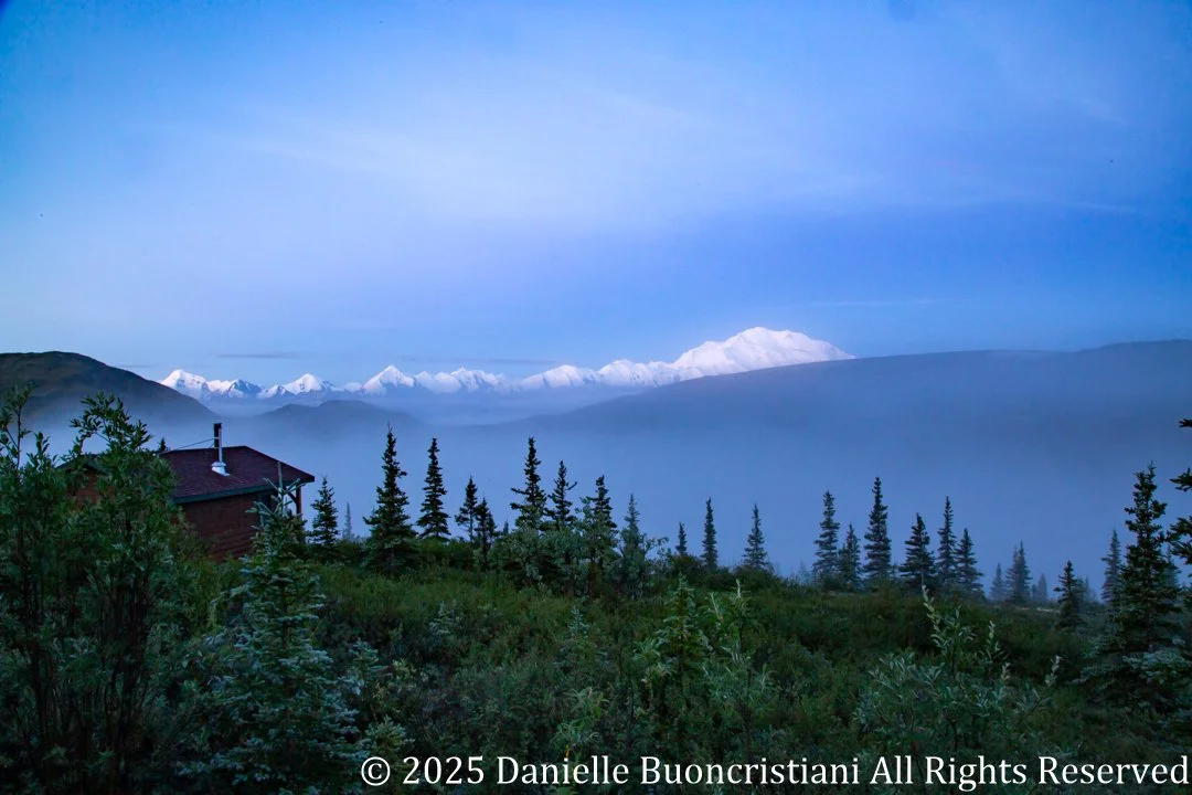 Mount Denali and surrounding peaks visible before sunrise from a cabin at Camp Denali, with fog filling the valley below and blue early-morning light illuminating the mountains.