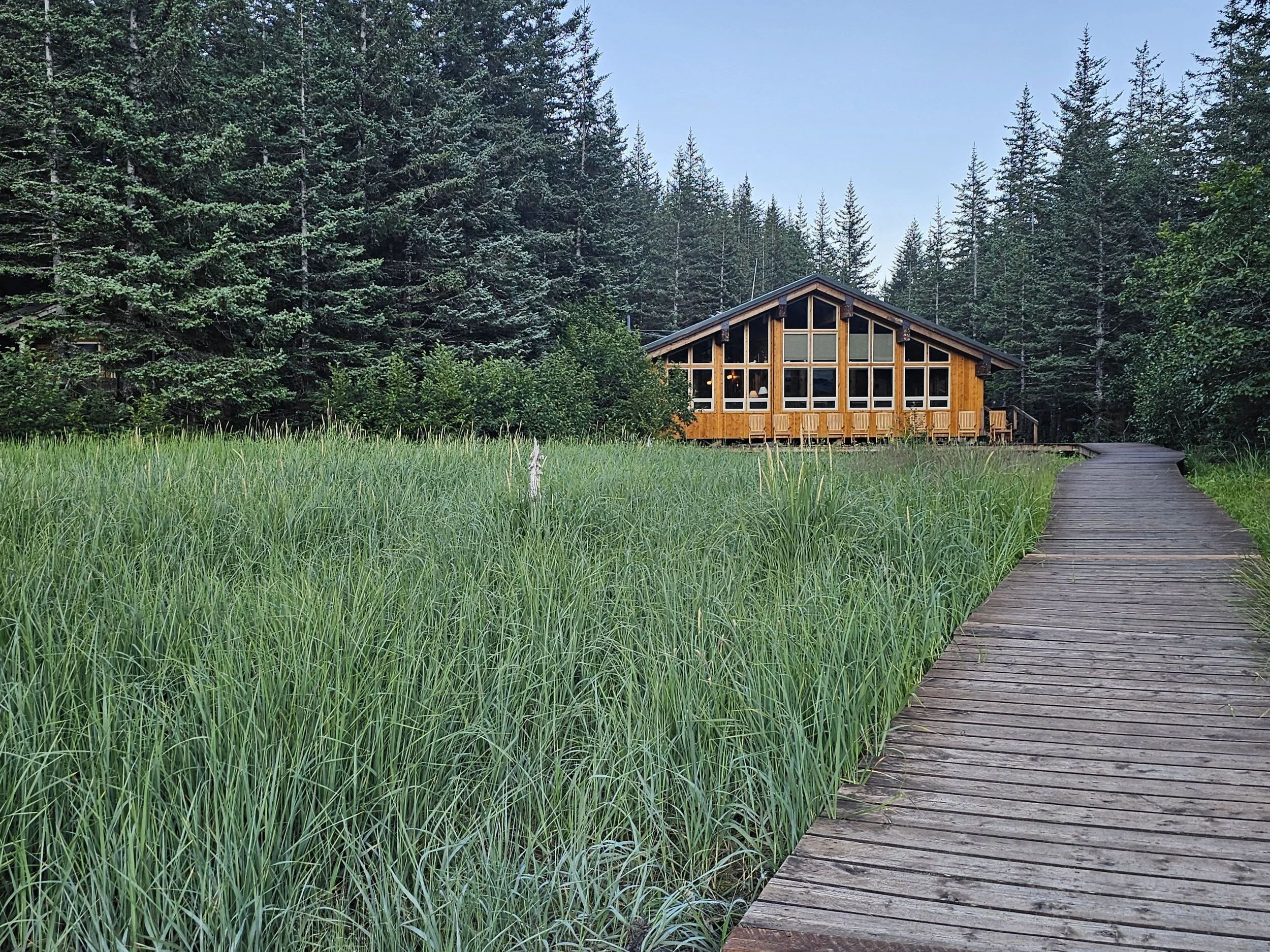 Kenai Fjords Glacier Lodge surrounded by evergreen trees, with a wooden boardwalk leading through tall meadow grass toward the timber lodge.