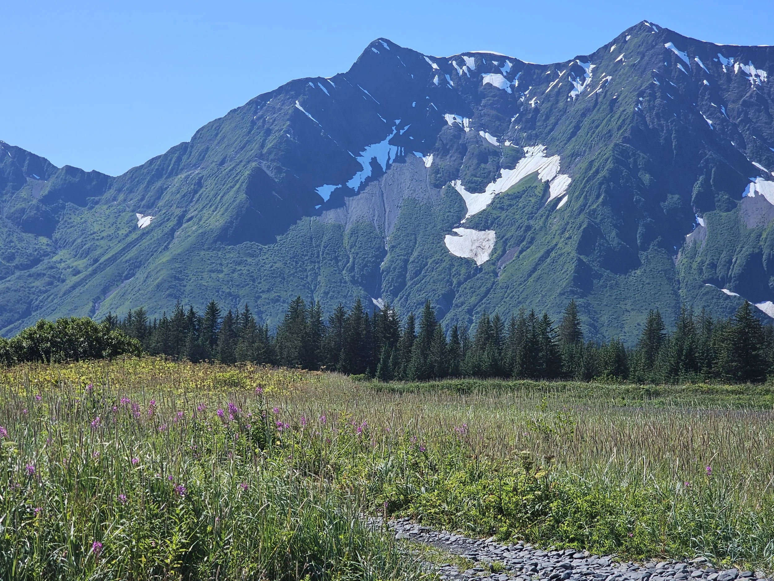 Rocky footpath winding through a grassy meadow toward evergreen trees and steep green mountains with patches of snow near Kenai Fjords Glacier Lodge.