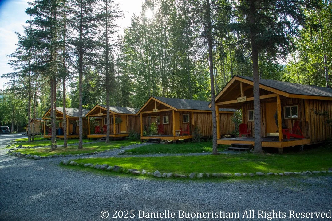 Log cabin guest lodging at Kenai Riverside Lodge in Alaska, surrounded by tall spruce trees and forest landscape.