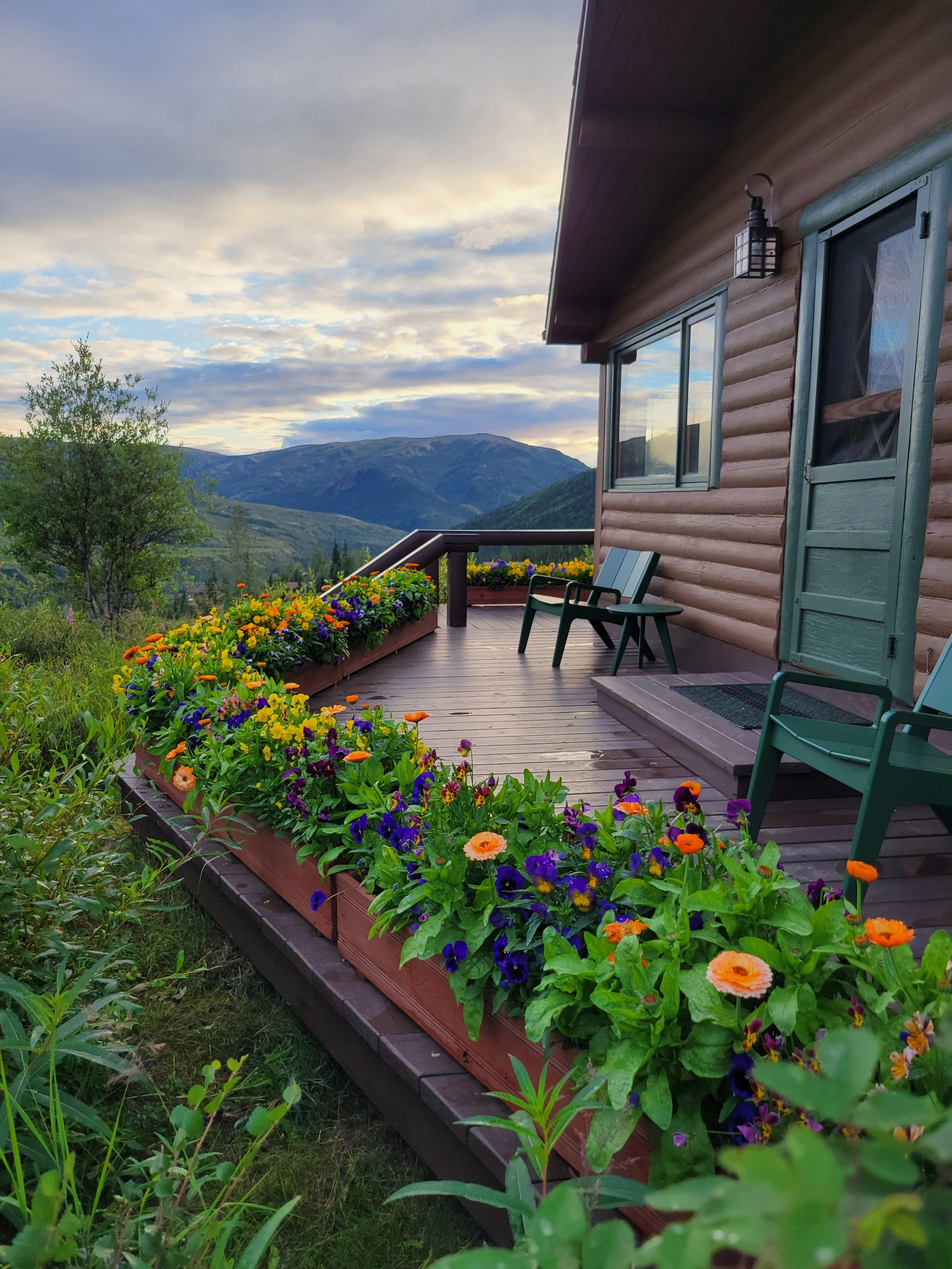 Flower boxes lining the porch of a cabin at Camp Denali overlooking the tundra landscape at sunset.