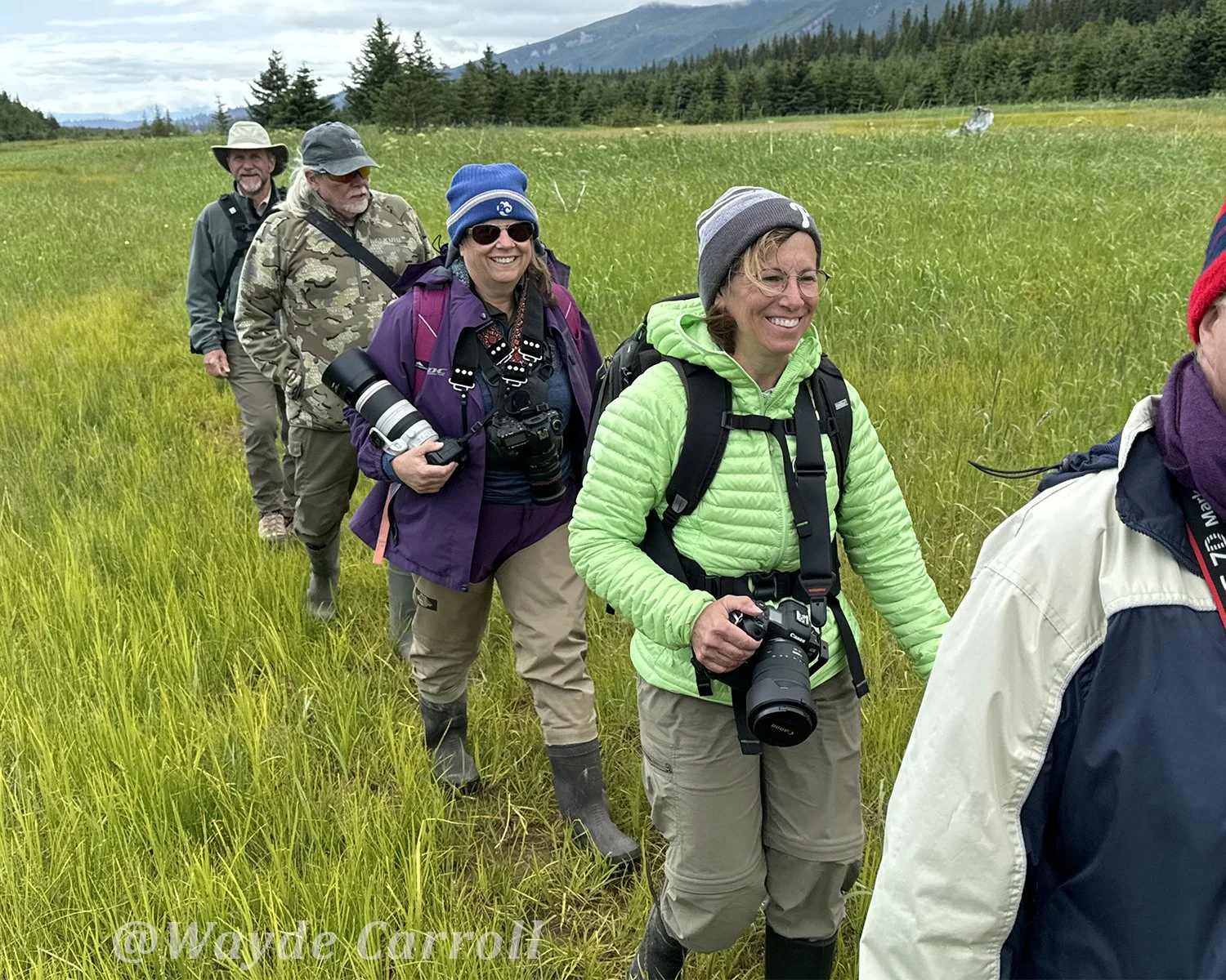 Group of photographers walking single file through tall grass in an Alaskan meadow, carrying cameras with mountains in the distance.