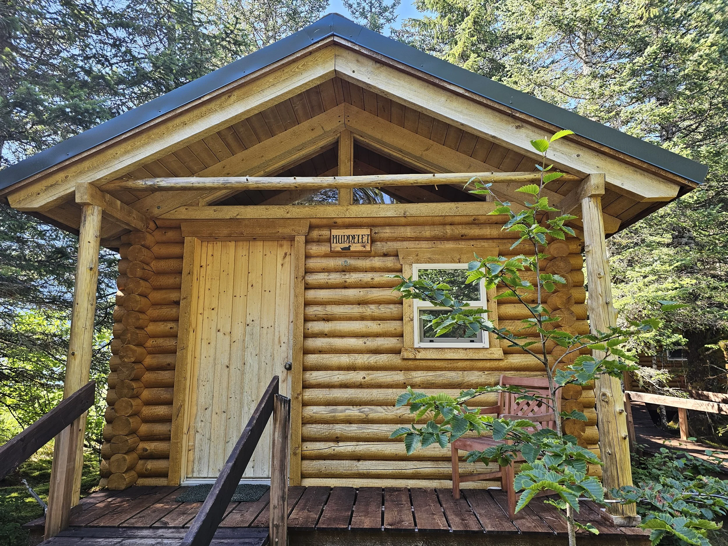 Log cabin named Murrelet at Kenai Fjords Glacier Lodge, with a small wooden porch and chair surrounded by evergreen trees.