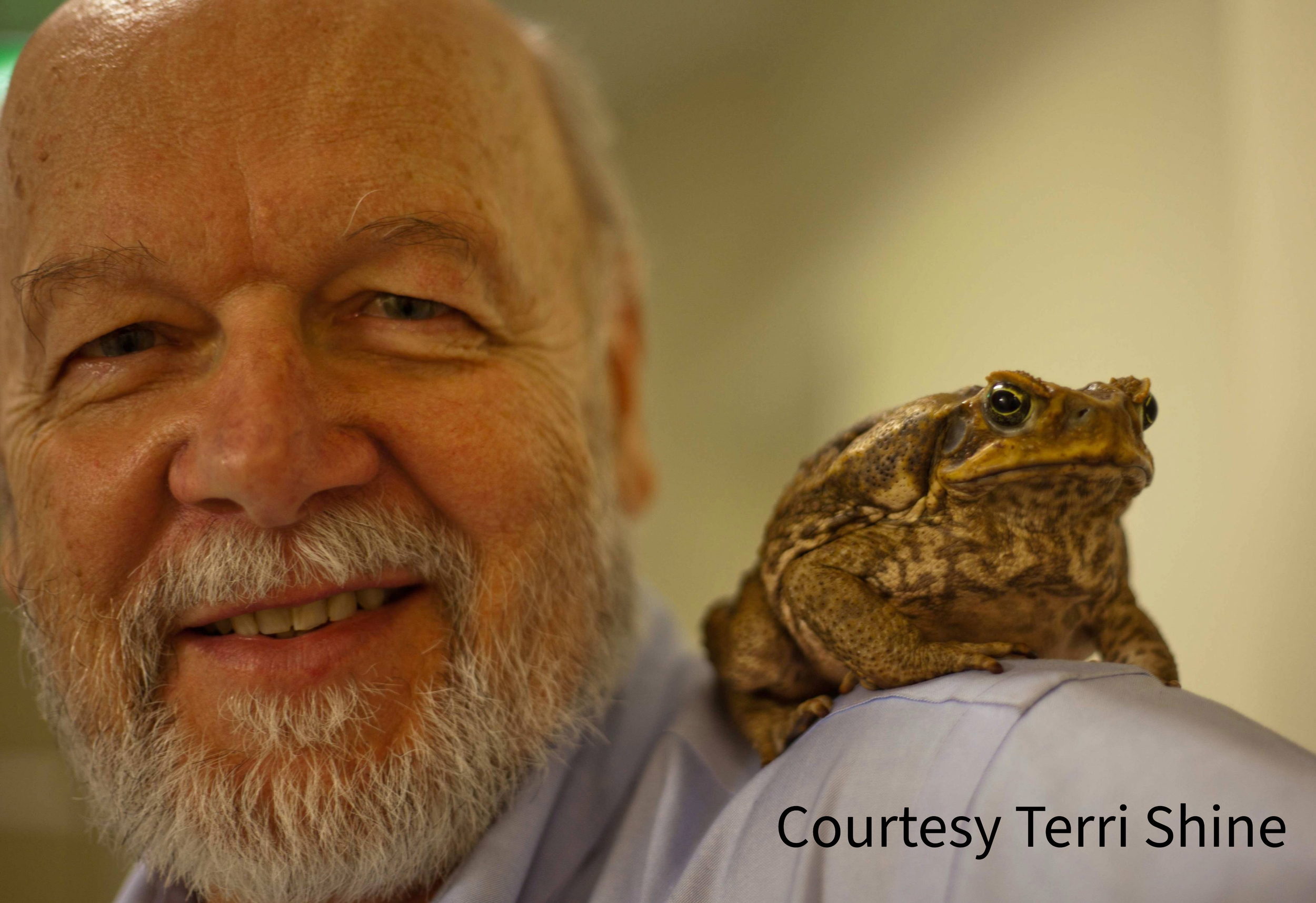 WAWAWPod, Where are we at with, WAWAW, cane toad, Rick Shine, invasive species, animal control, podcast, Macquarie University, Terri Shine, Team Bufo