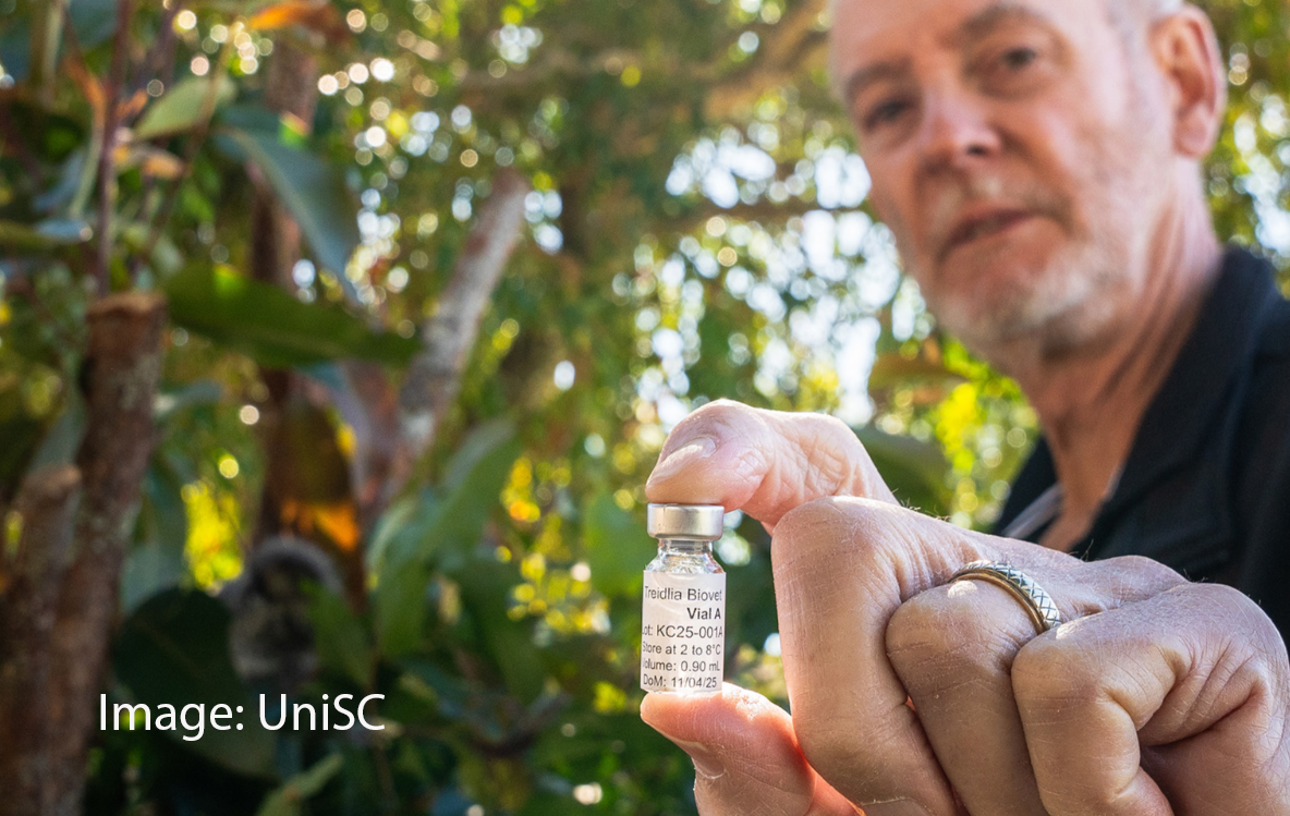 Where Are We At With, WAWAW, wawawpod, David Curnow, Professor Peter Timms, Peter Timms, University Sunshine Coast, koala, chlamydia, vaccine, science, research, retrovirus, endangered, marsupial, Ceva, research, bio-innovation, patent