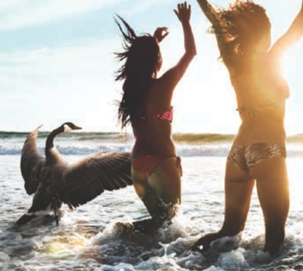 Air New Zealand