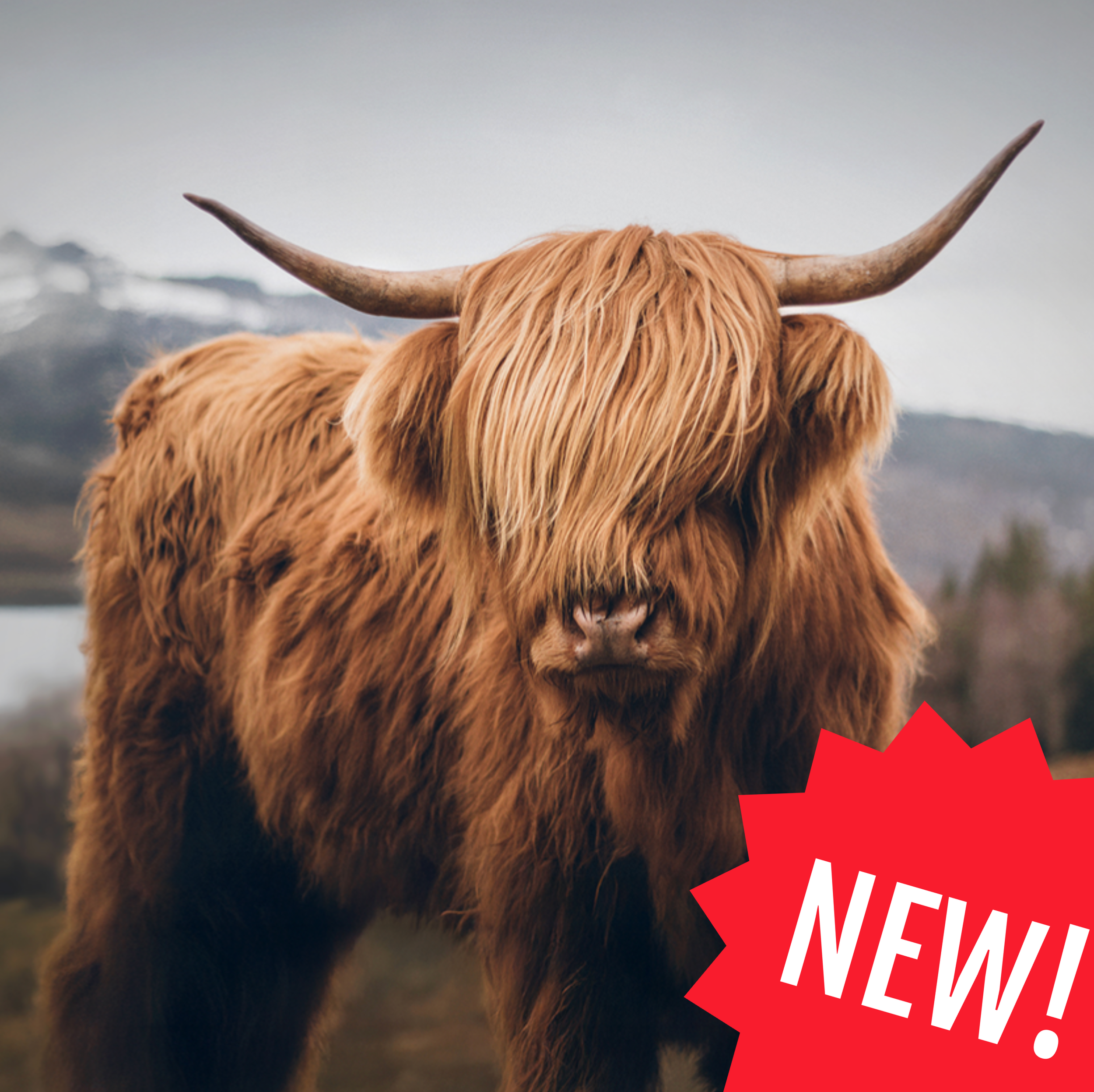 Aberdeen Investments