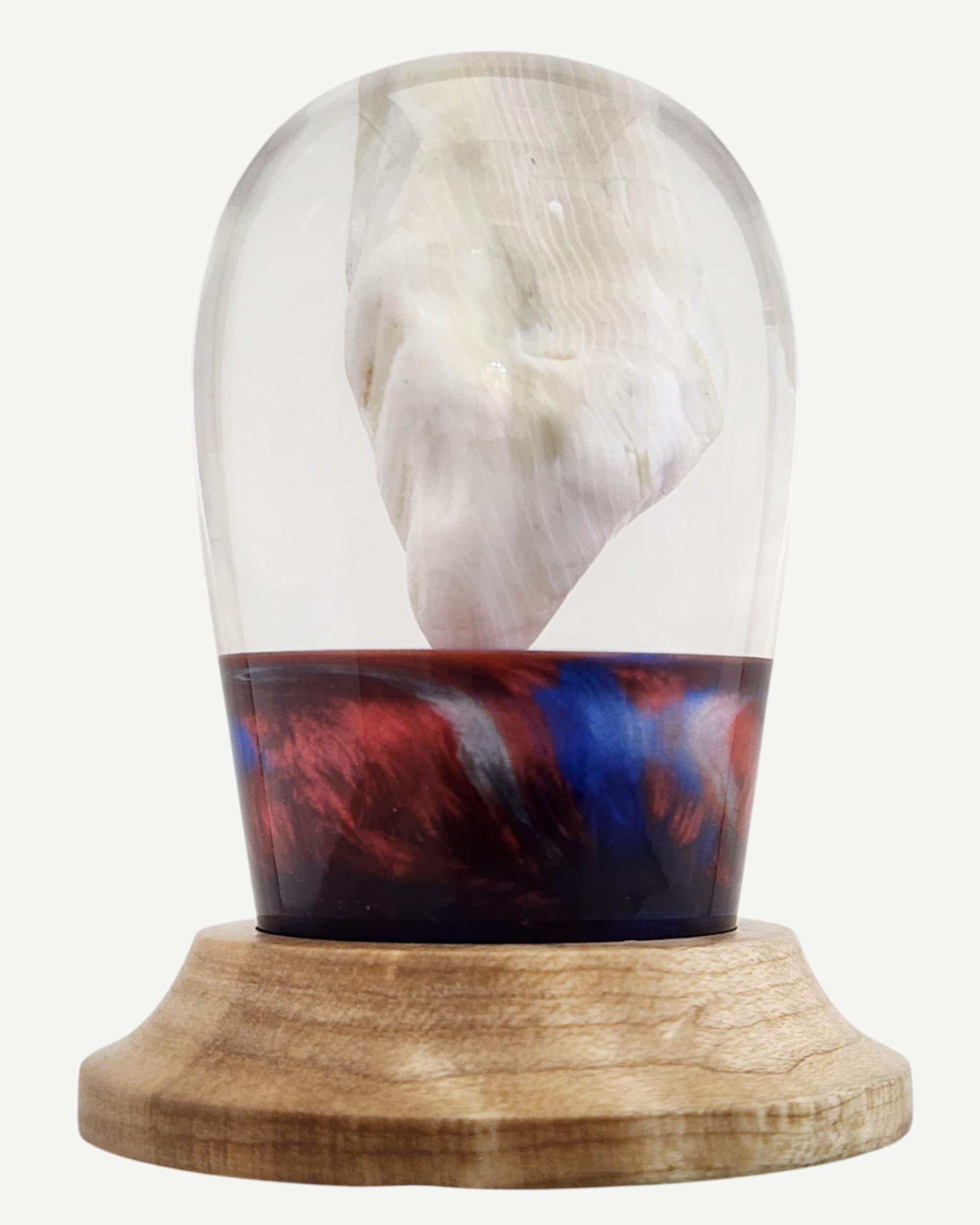 Petrified Wood Encased in Resin on Figured Maple Stand