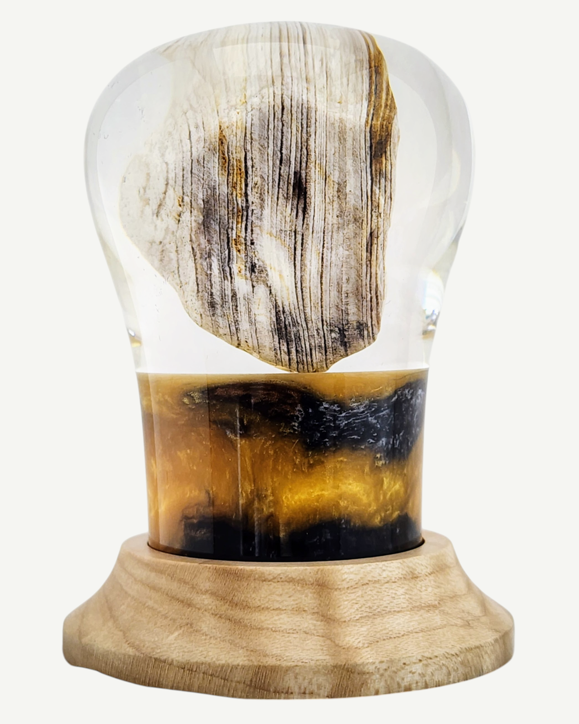 Petrified Wood Encased in Resin on Figured Maple Stand