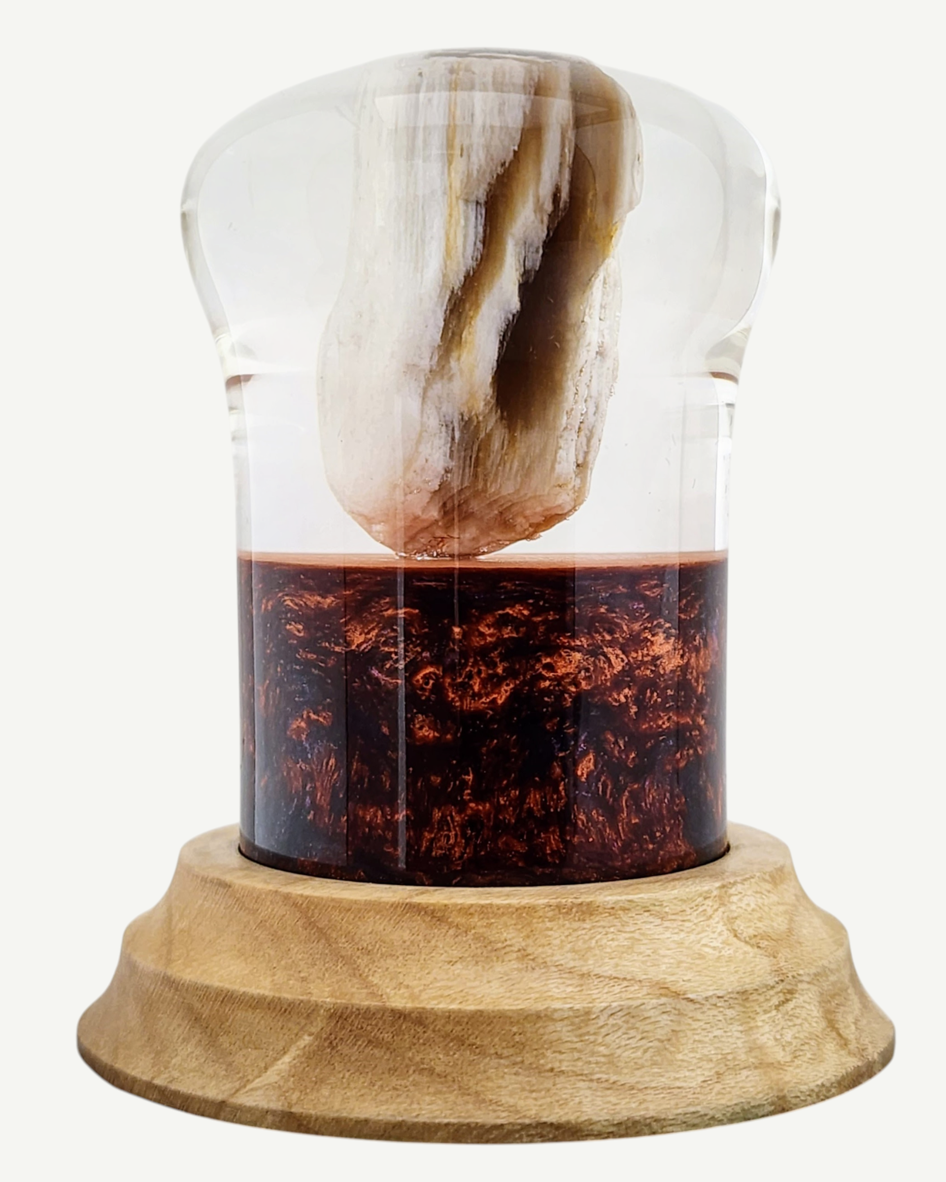 Petrified Wood Encased in Resin on Figured Maple Stand