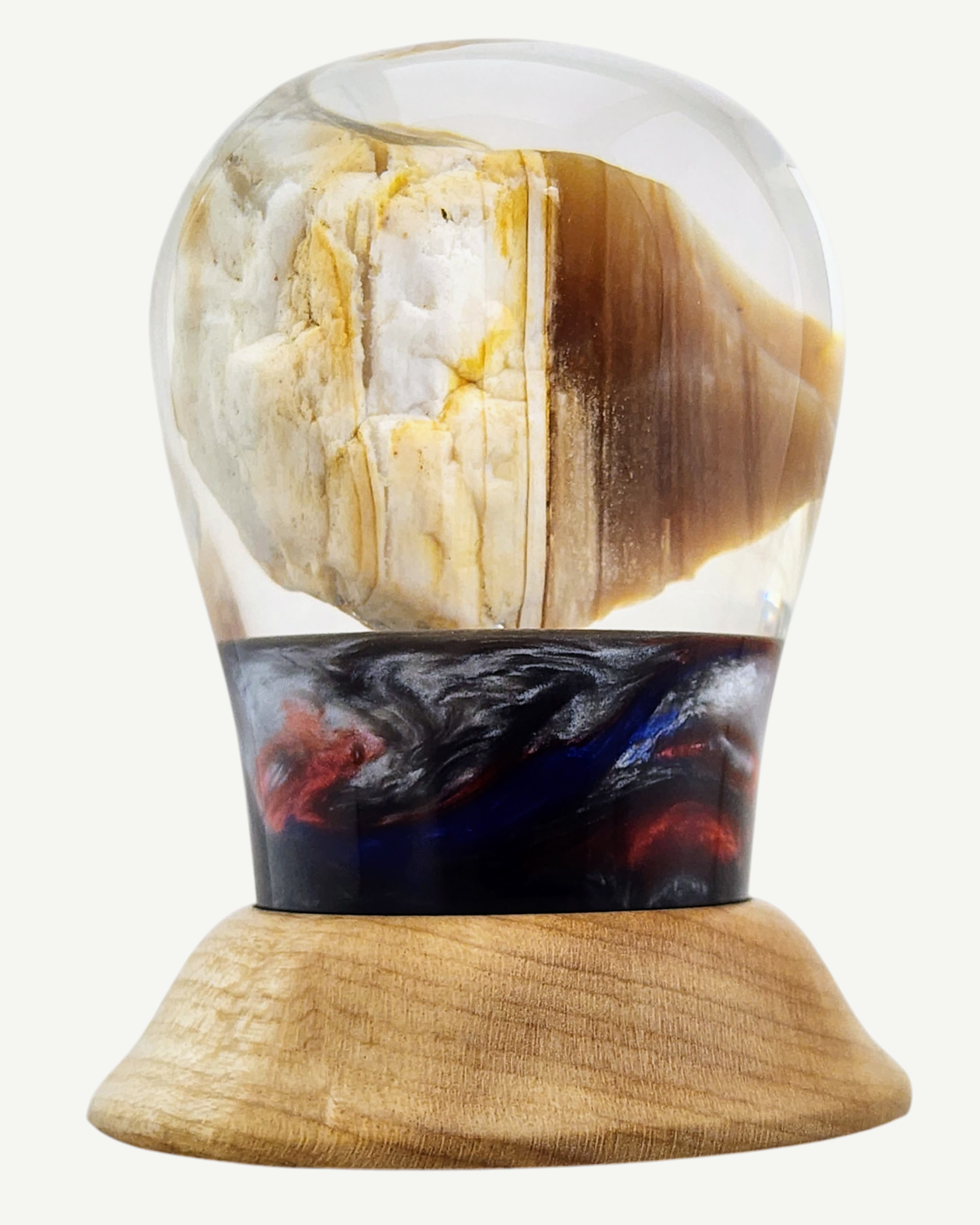 Petrified Wood Encased in Resin on Figured Maple Stand