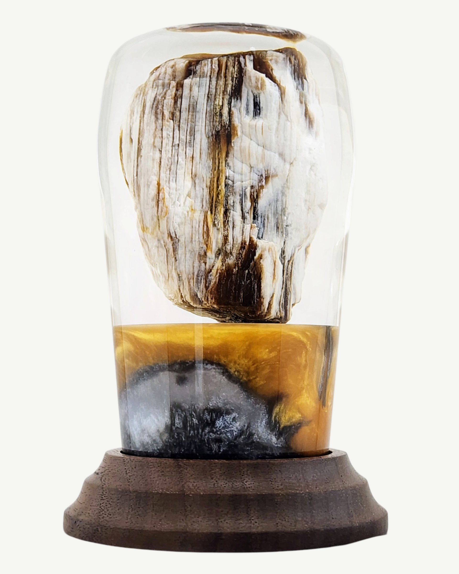 Petrified Wood Encased in Resin on Walnut Stand