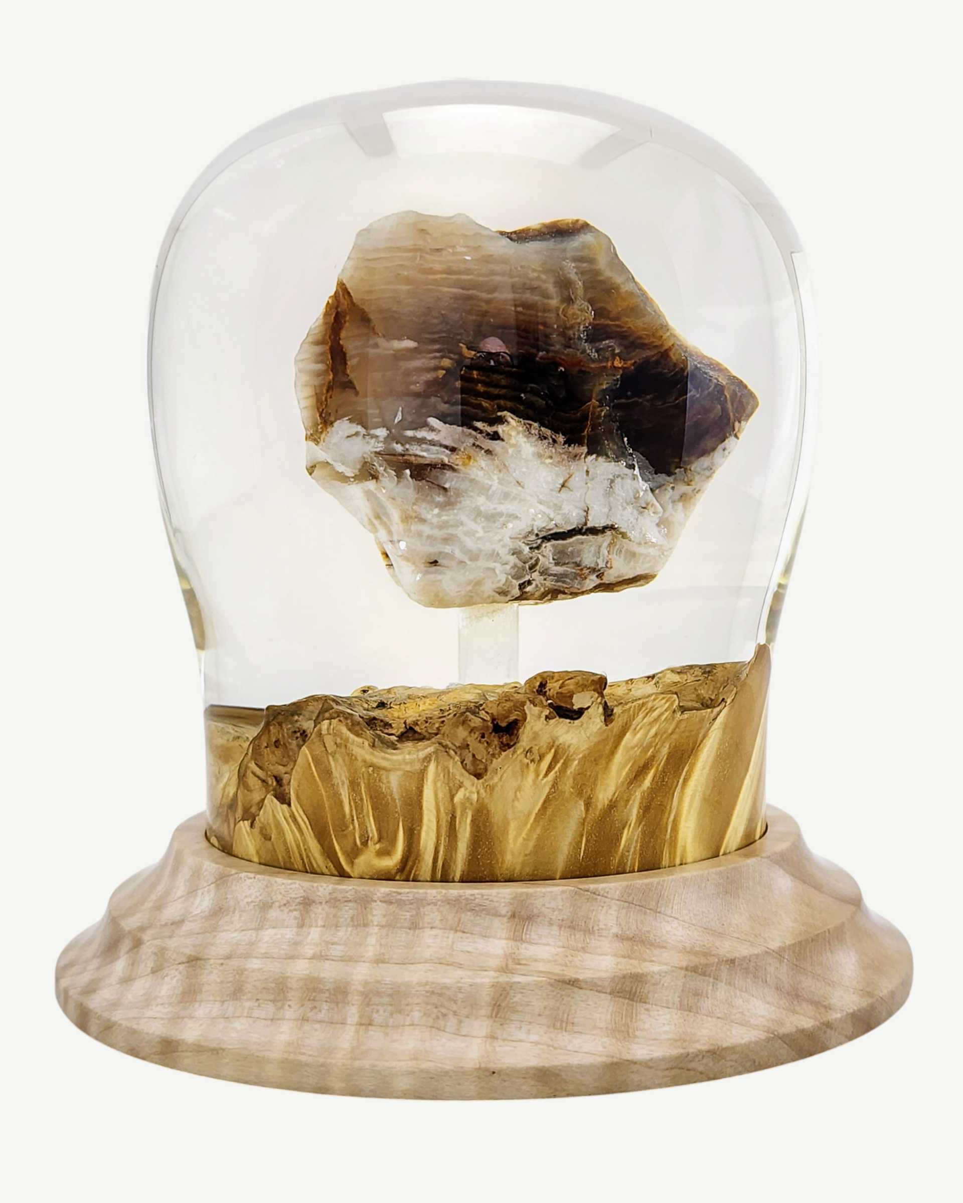 Petrified Wood Encased in Resin on Figured Maple Stand