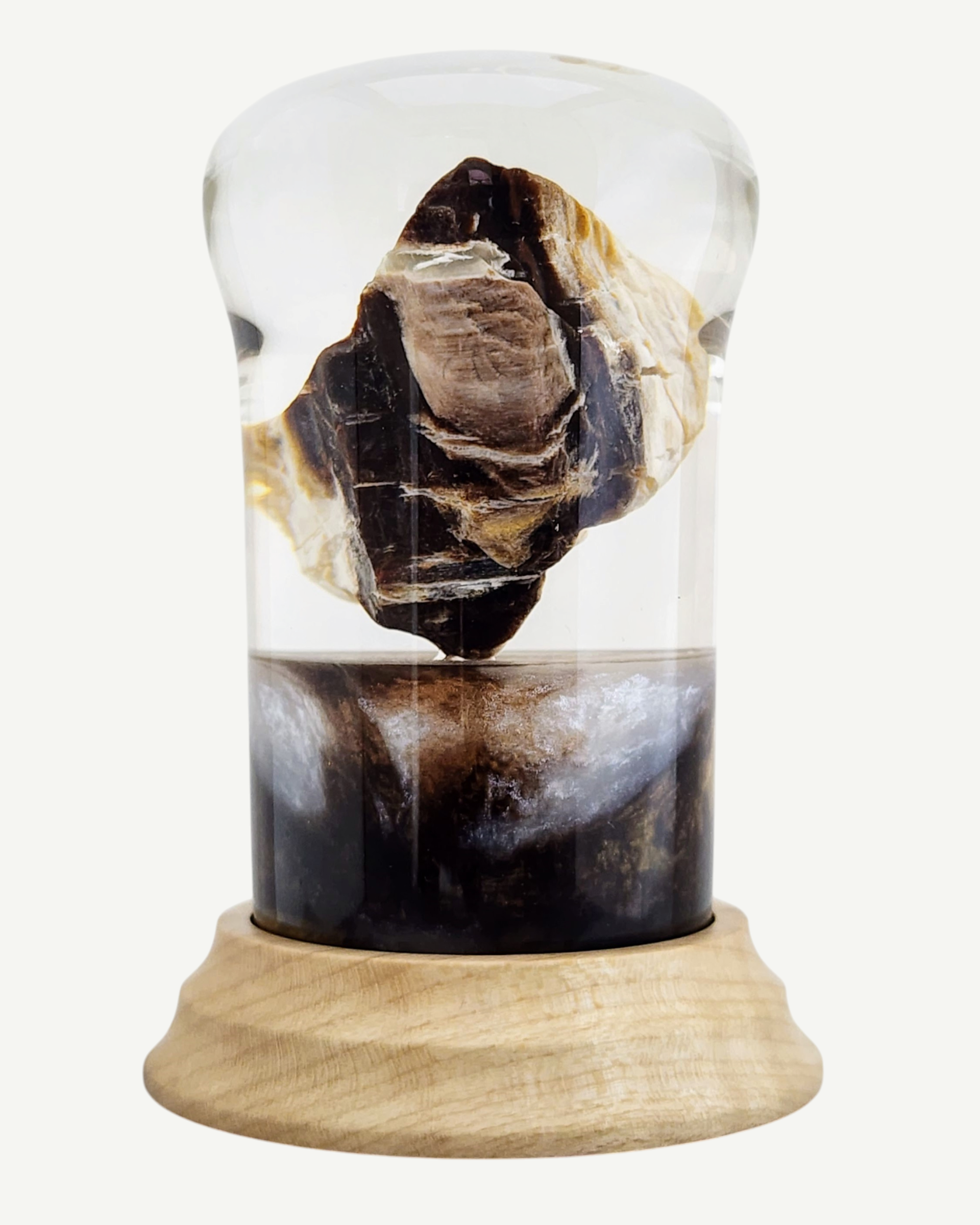Petrified Wood Encased in Resin on Figured Maple Stand