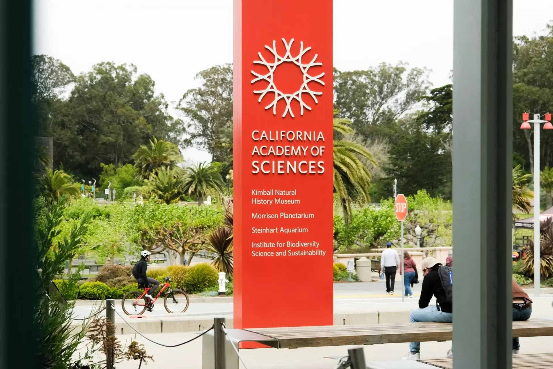 Exclusive: California Academy of Sciences director resigns amid financial chaos