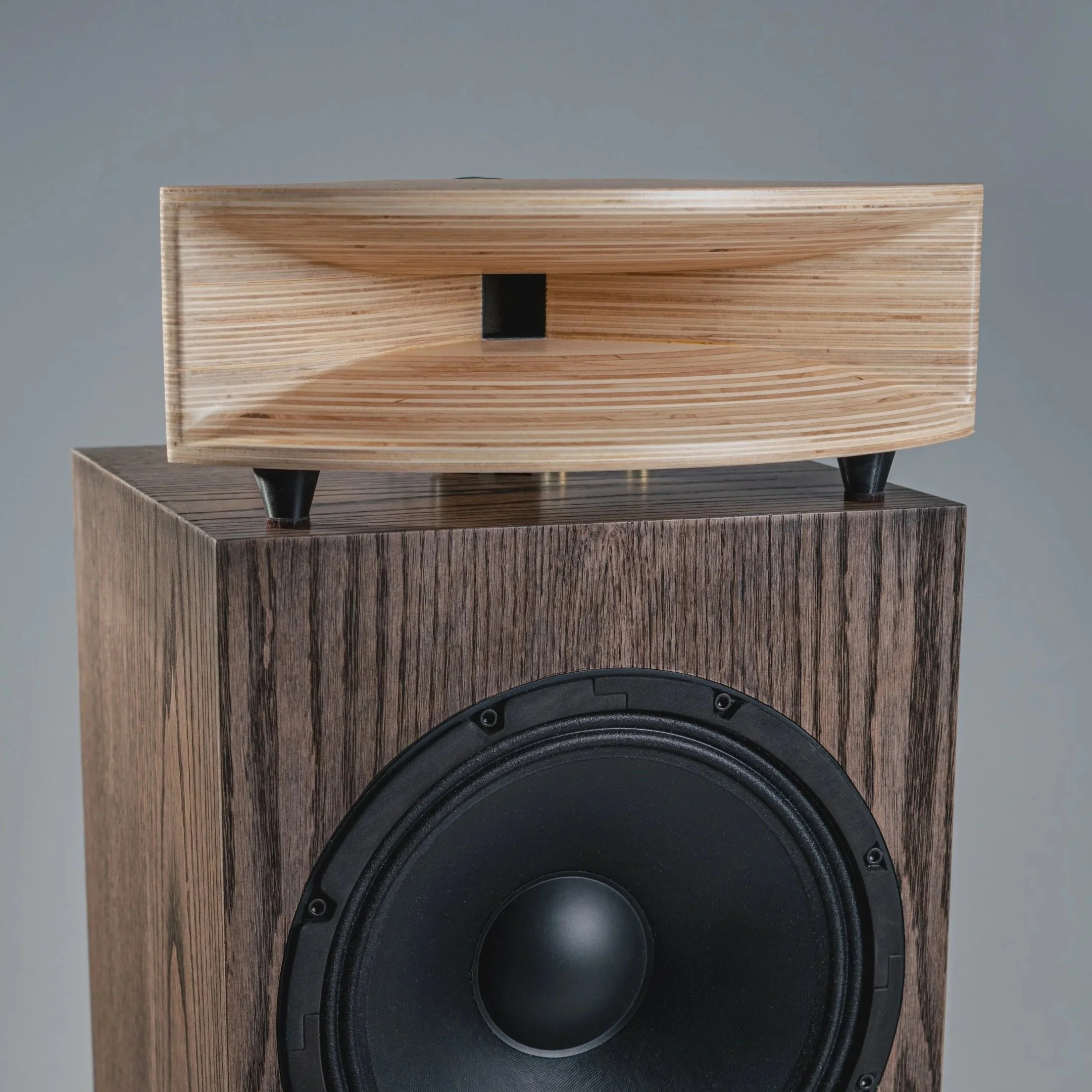 Close-up of a wooden speaker with a two-way speaker system, featuring a large woofer at the bottom and a smaller tweeter on top, against a plain gray background.