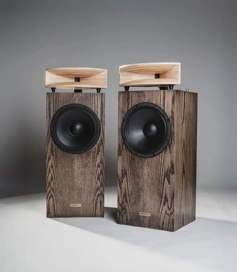Two large wooden speakers with black drivers, each topped with a light-colored wooden cover, set against a plain gray background.