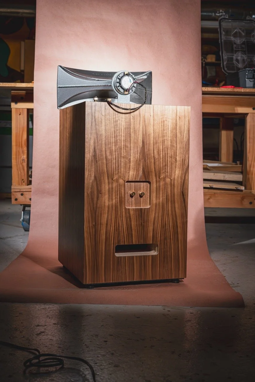 SET amplifier friendly horn speakers delivering realistic soundstage and live music experience