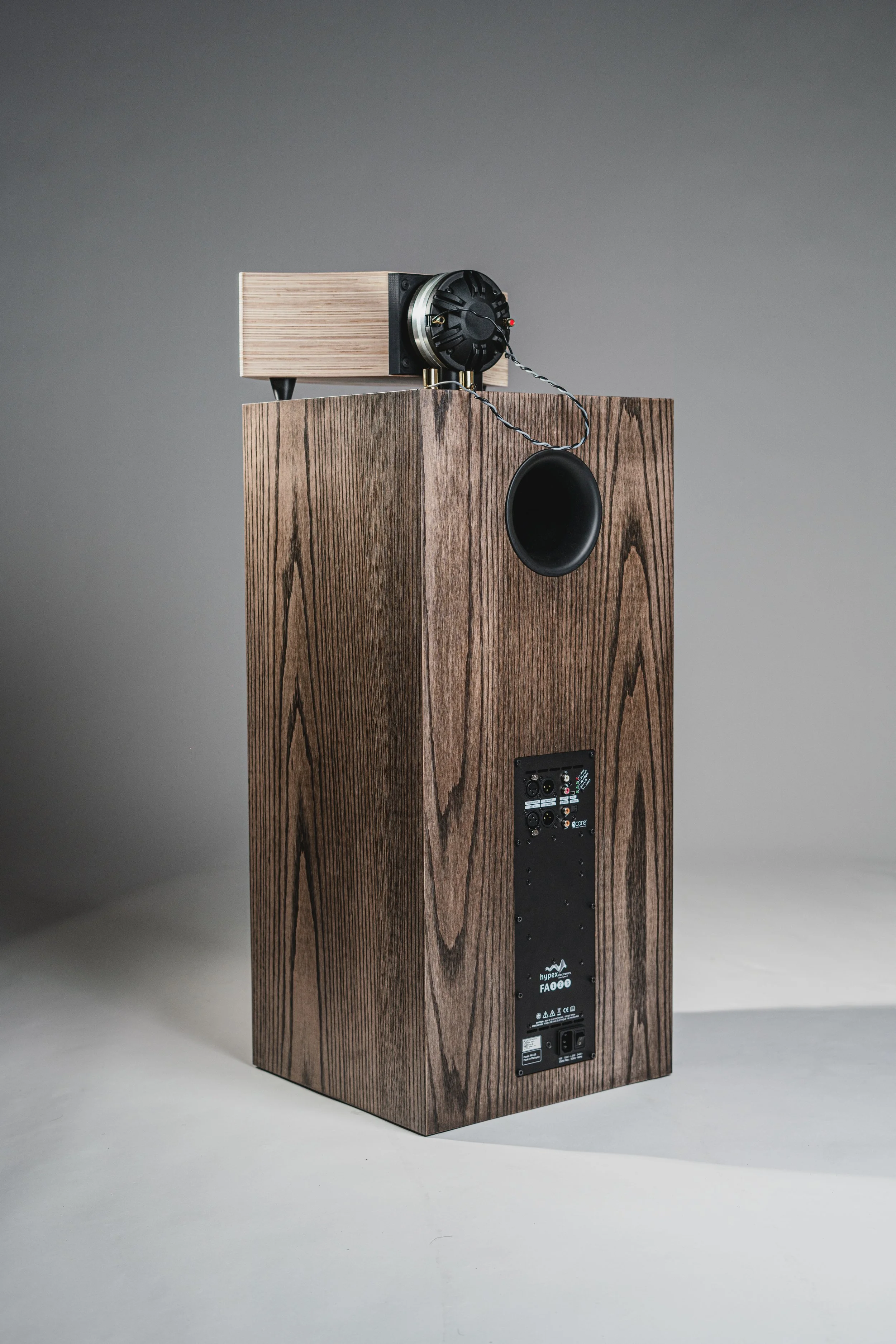 A large wooden speaker with a black speaker cone on the front, equipped with a smaller speaker or driver on top, connected by a wire, against a plain gradient background.