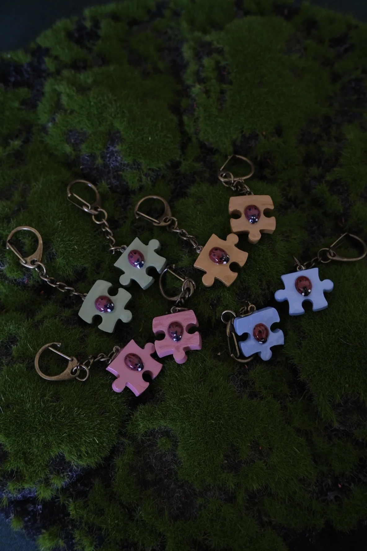 Ladybug Puzzle Piece Keychains