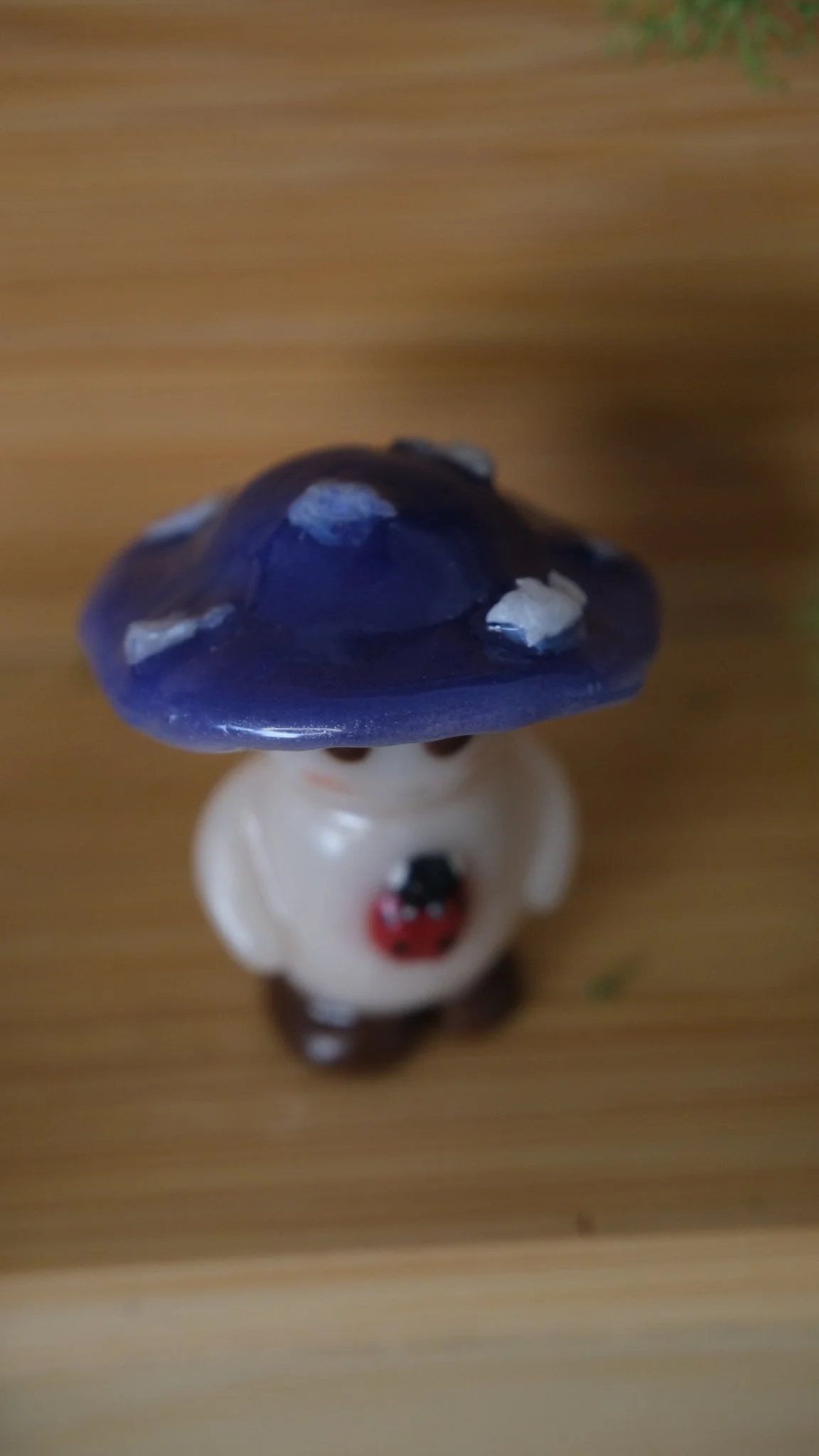 13290912-F9F5-41E6-B570-0C7092BC9C05-27752-0000067A3F585095.jpeg