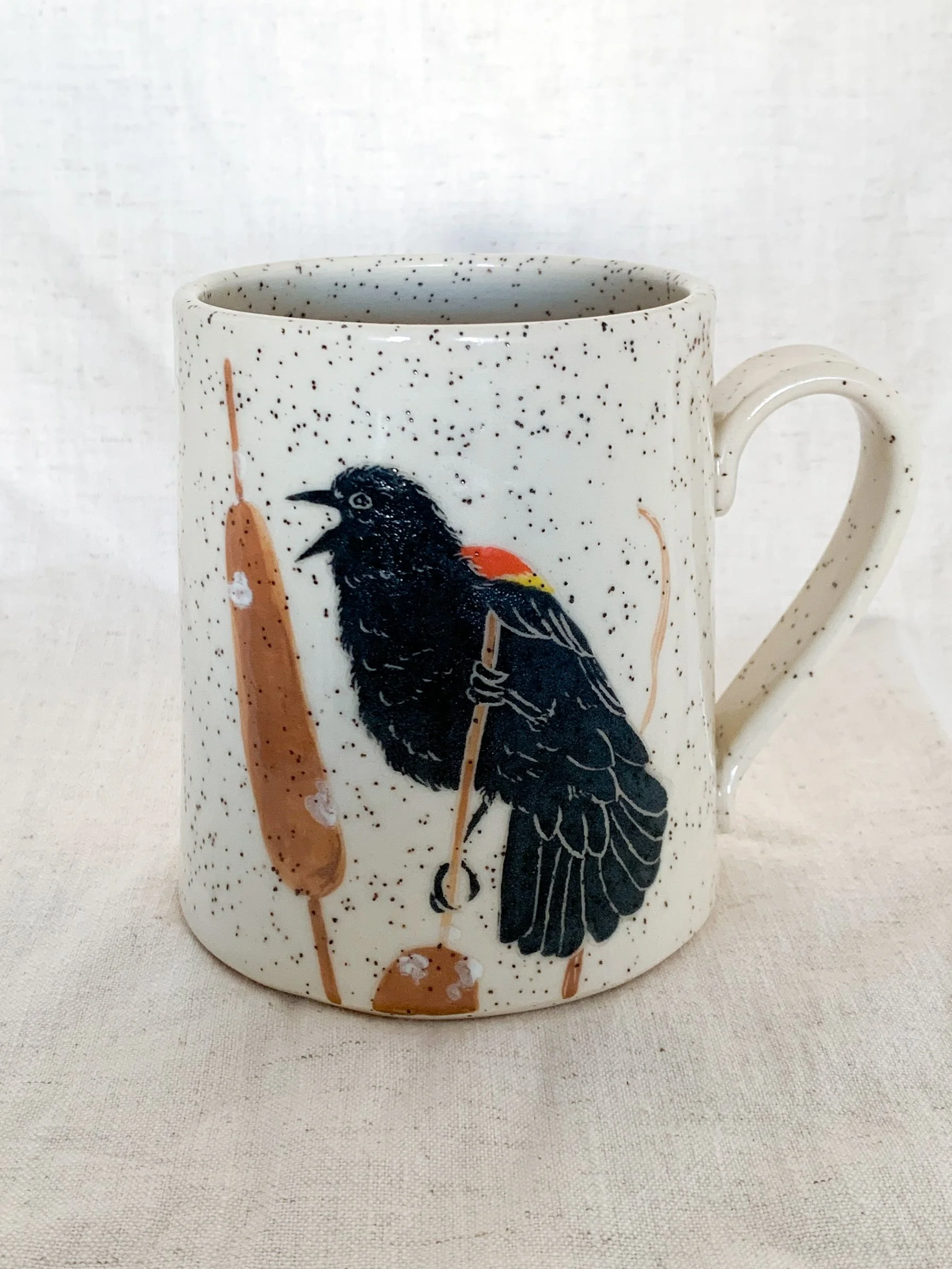 Bird of the Month •June•