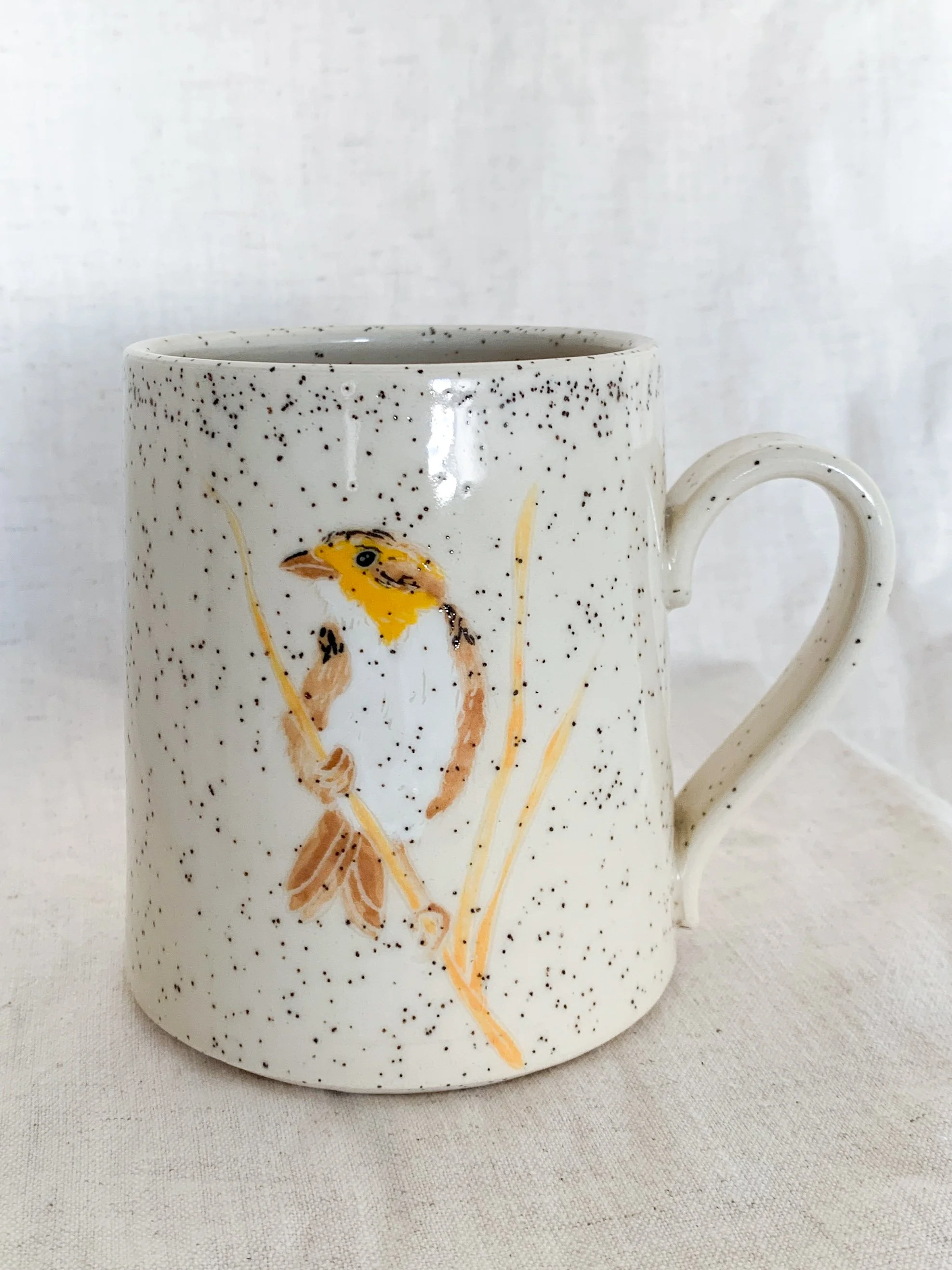 Bird of the Month •July•