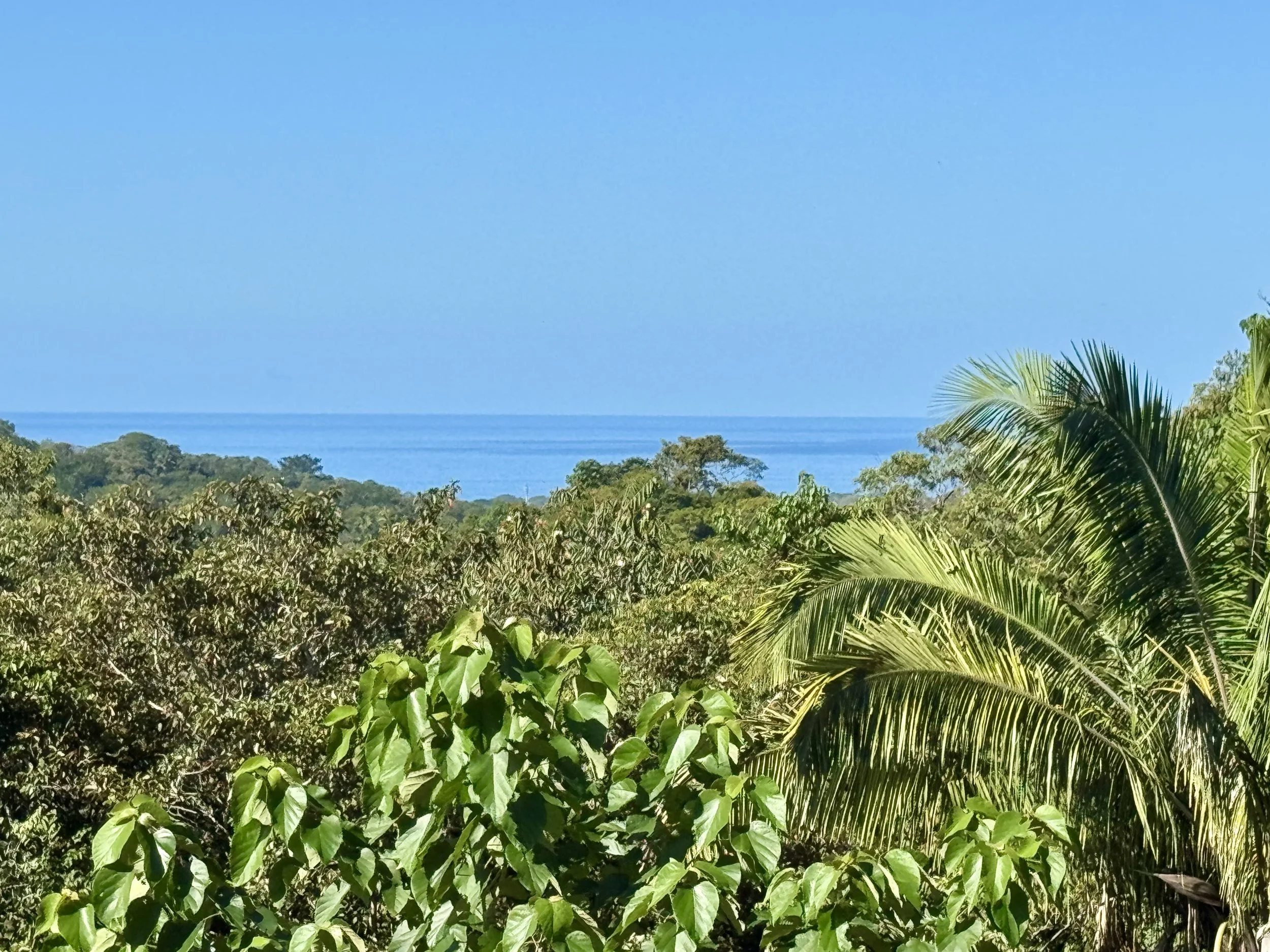 Ruta Del Sol | Lot 87  | Sale price – USD 69,000