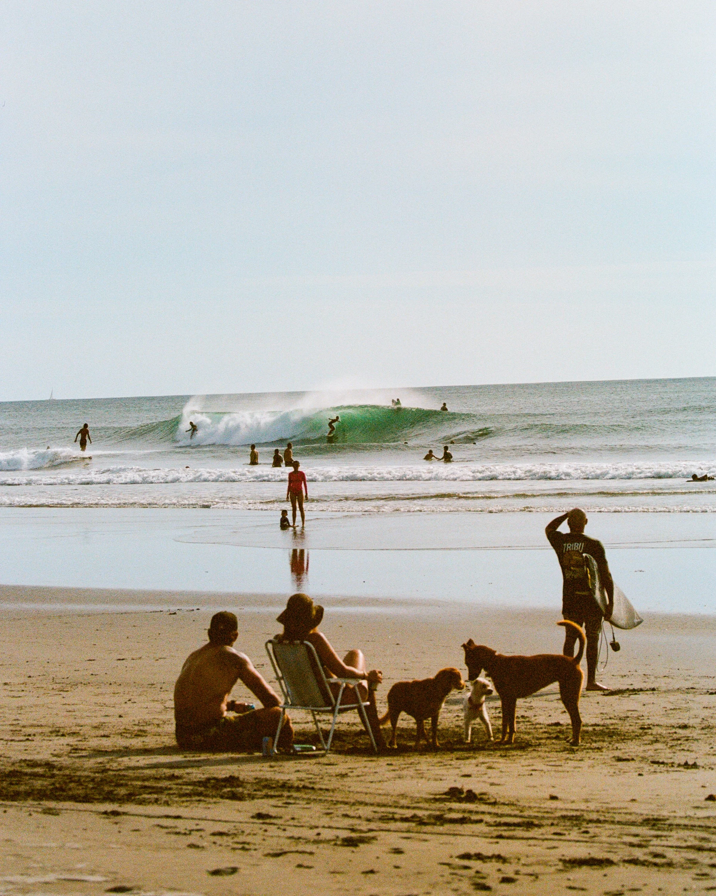 Properties for sale in Costa Rica