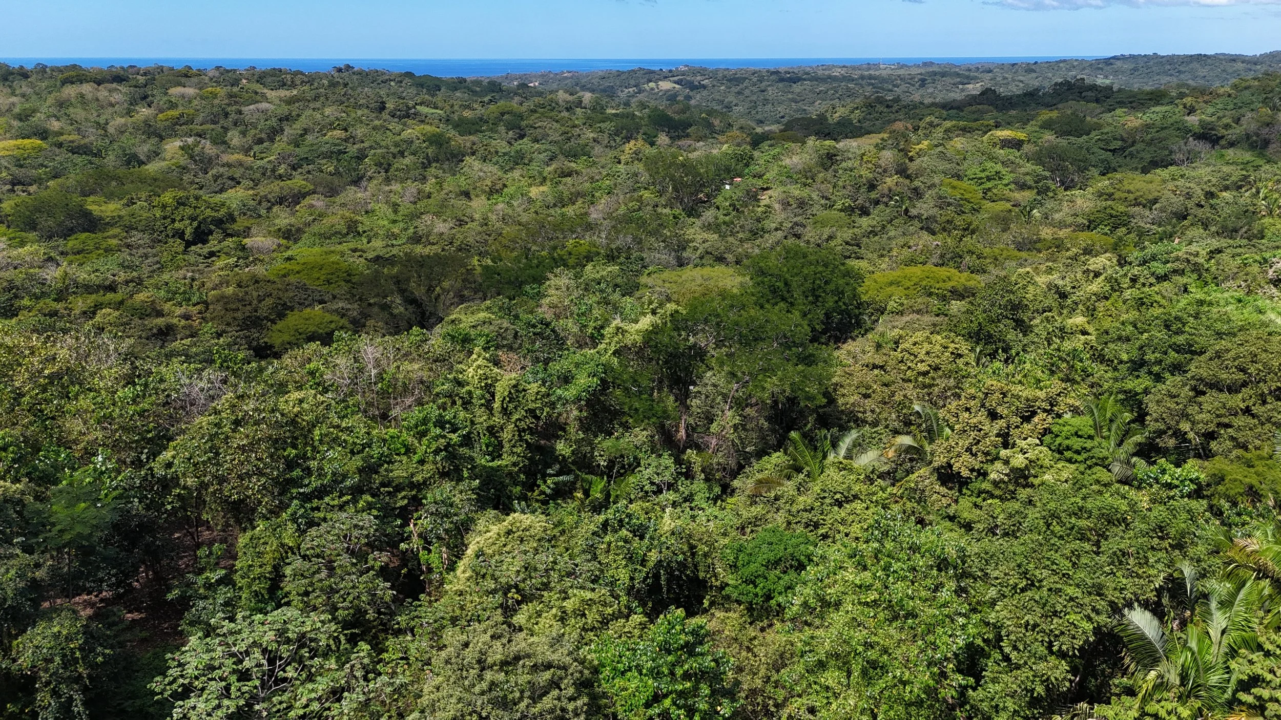 Ruta Del Sol | Lot 43  | Sale price – USD 69,000