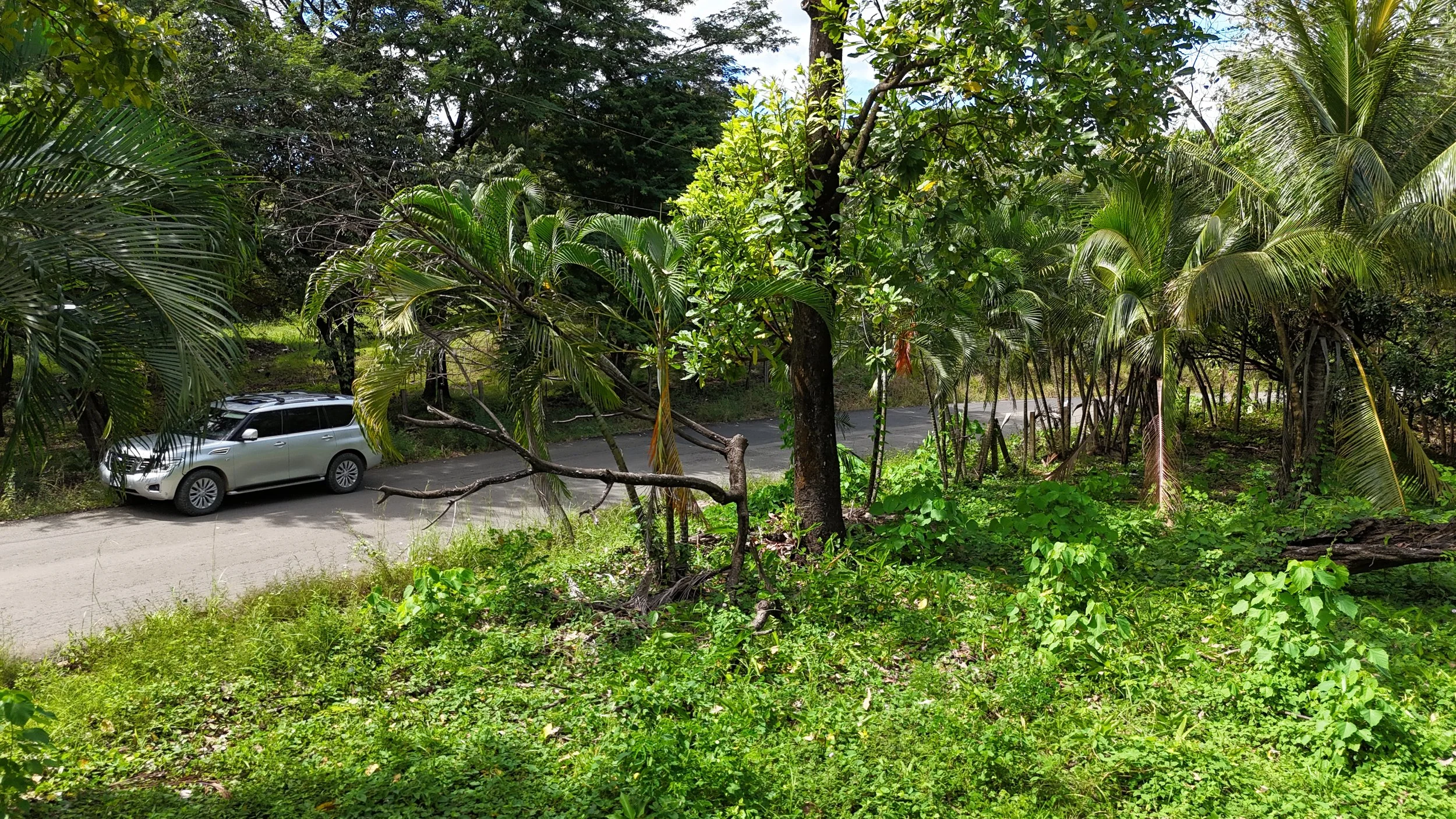 Los Palmas Commercial Land | Sale price – USD 150,000