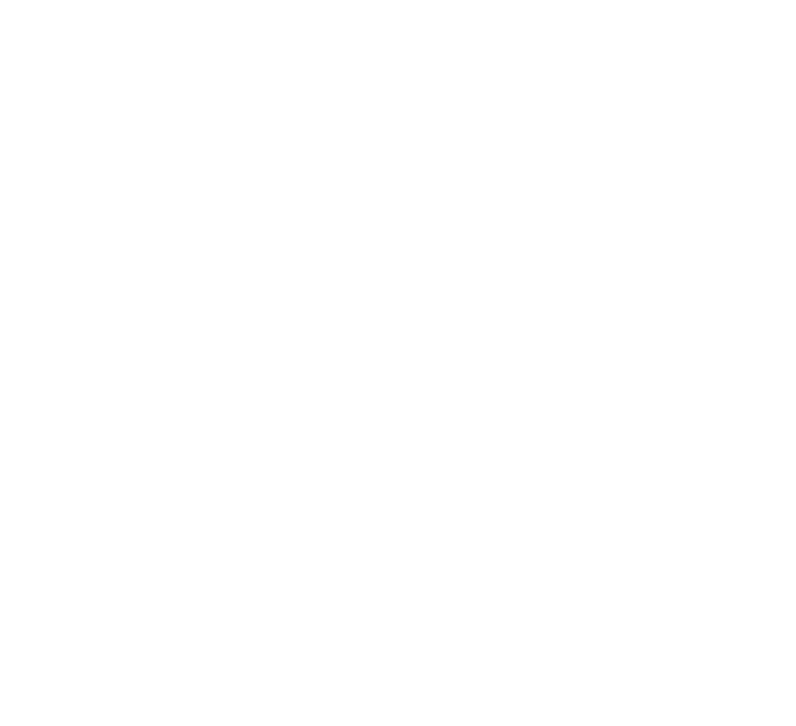 OBI CHANEY