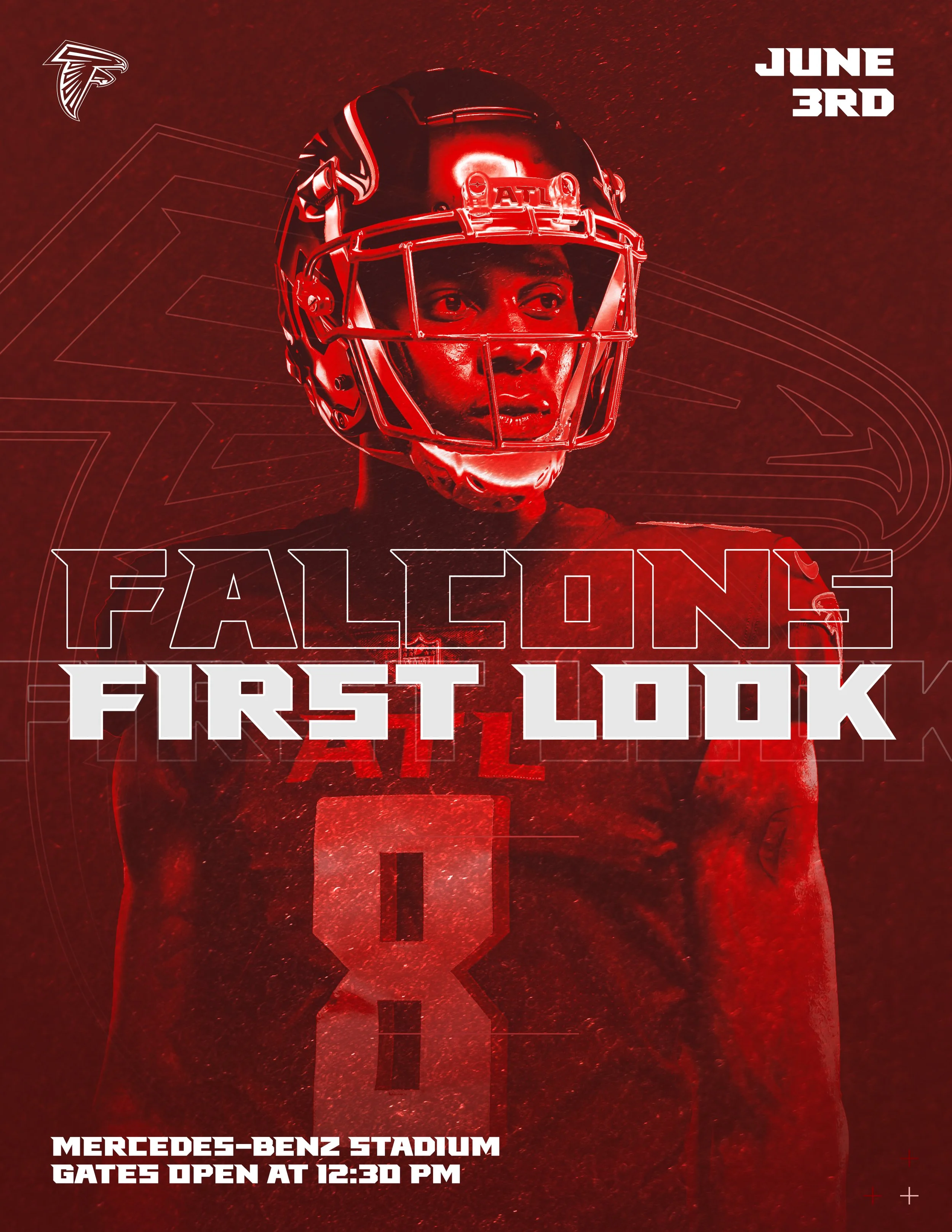 Falcons - First Look - Final 2.jpg