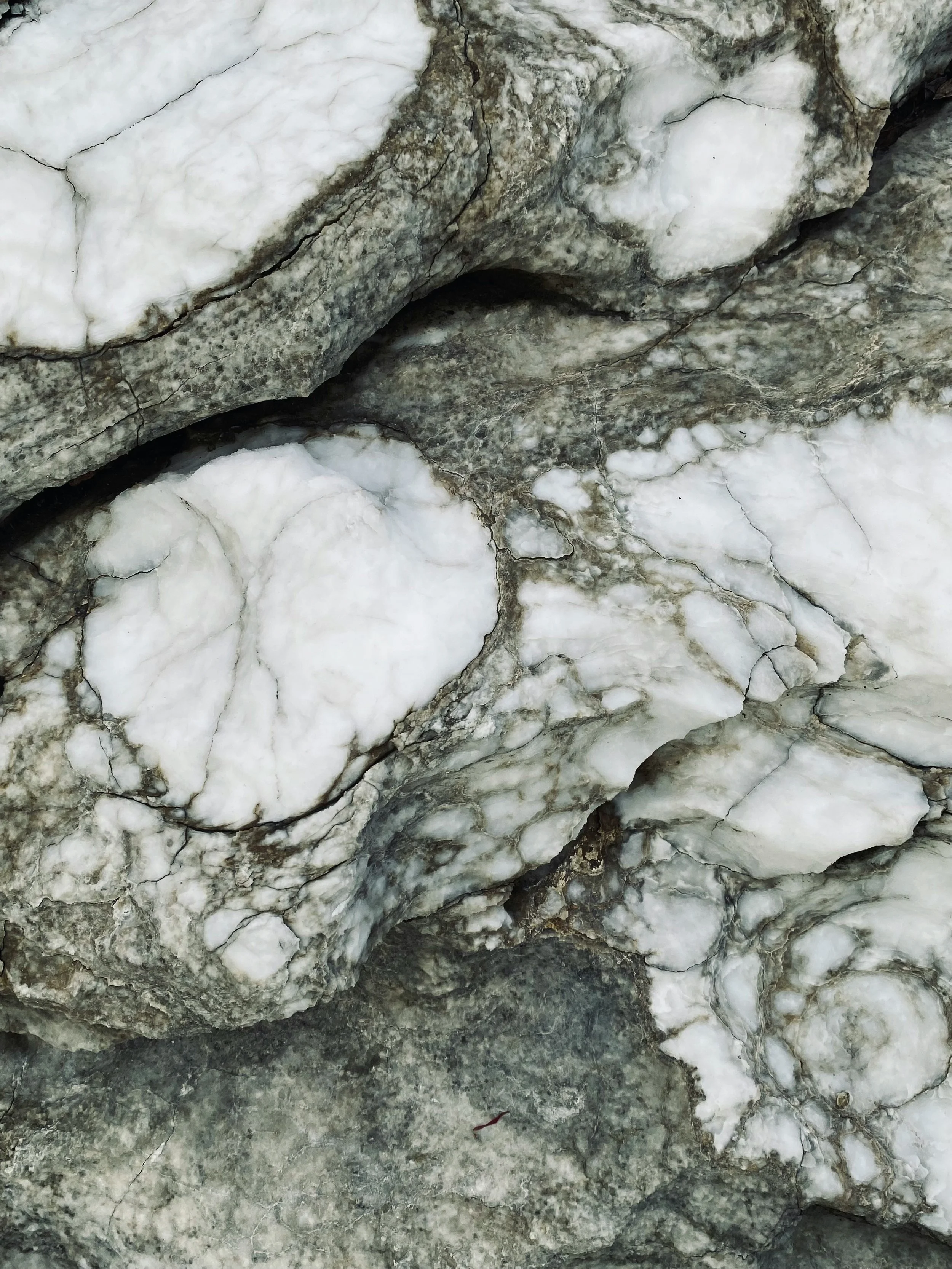 Close-up of a marble surface with white and grey veining.