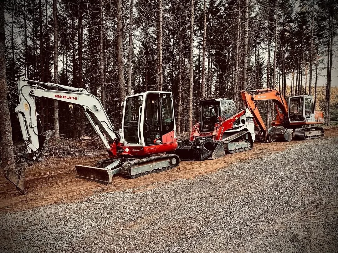 Four compact excavators parked in a row on dirt, with a forest of tall trees in the background.
