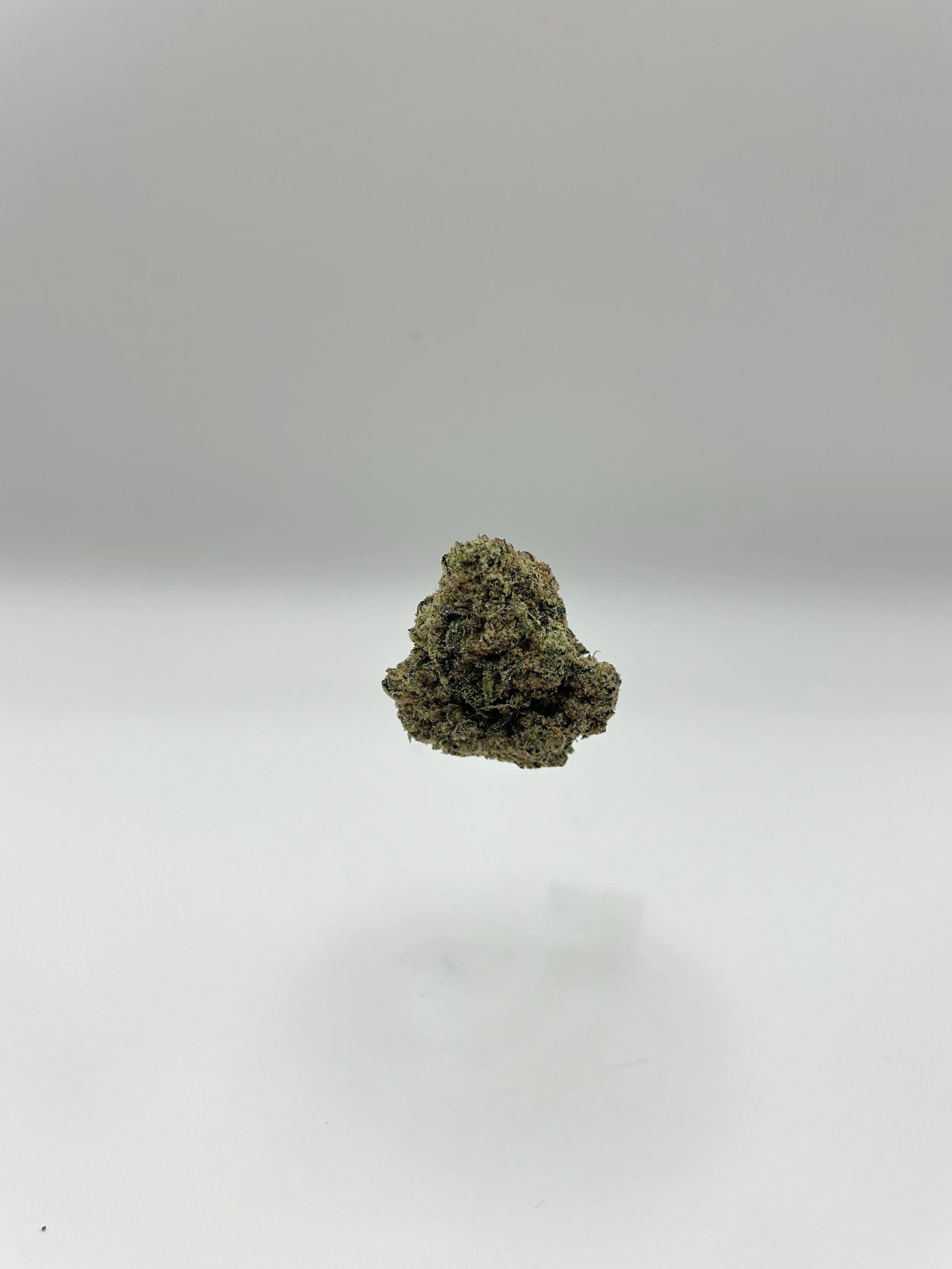 AAA-Gruntz-Nug.jpg