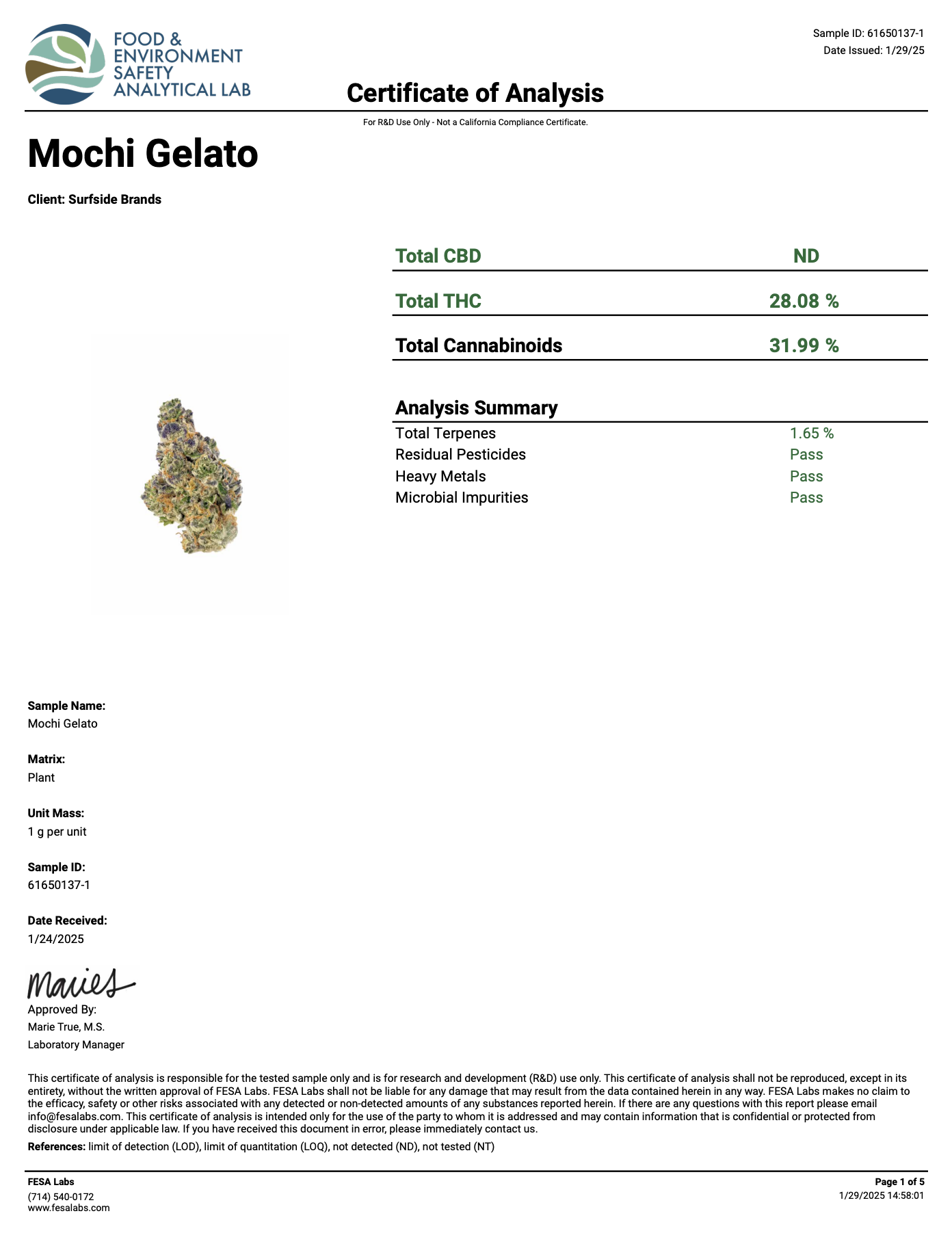 Screenshot 2025-10-26 at 13.45.27.png