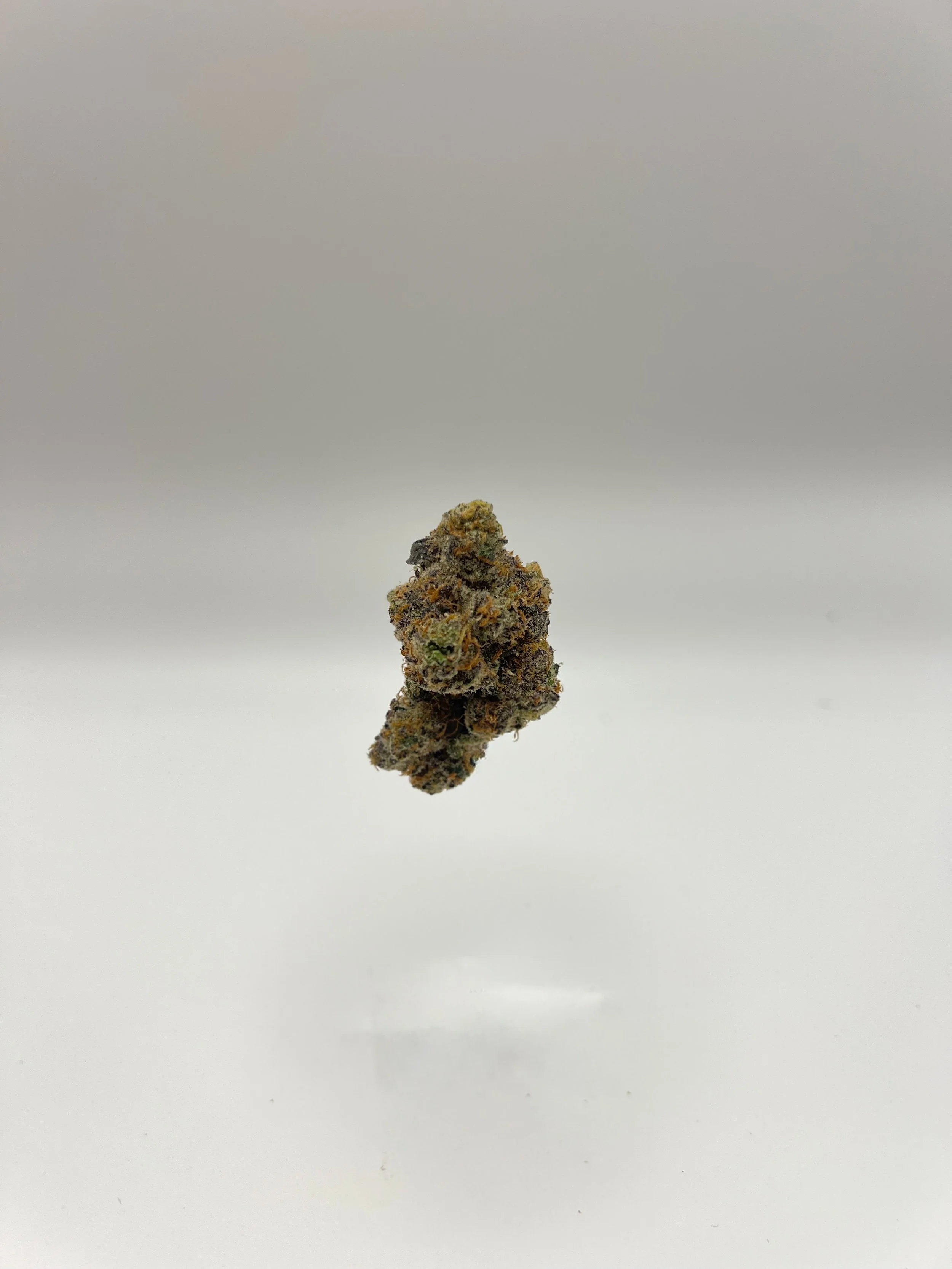 AAA-G41xLAPushPop-Nug.jpg