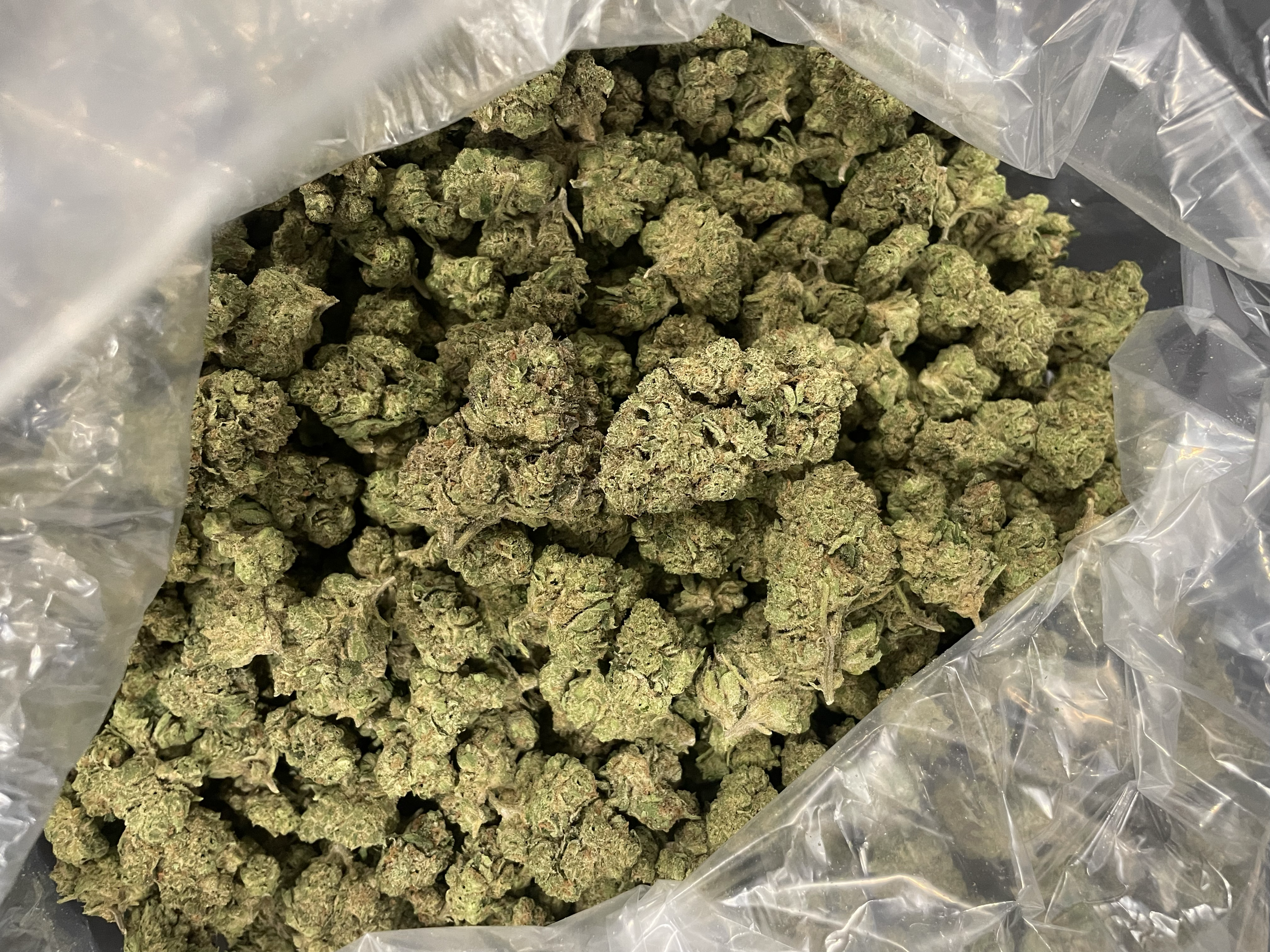 Truffle Runtz-Bulk-Image.png