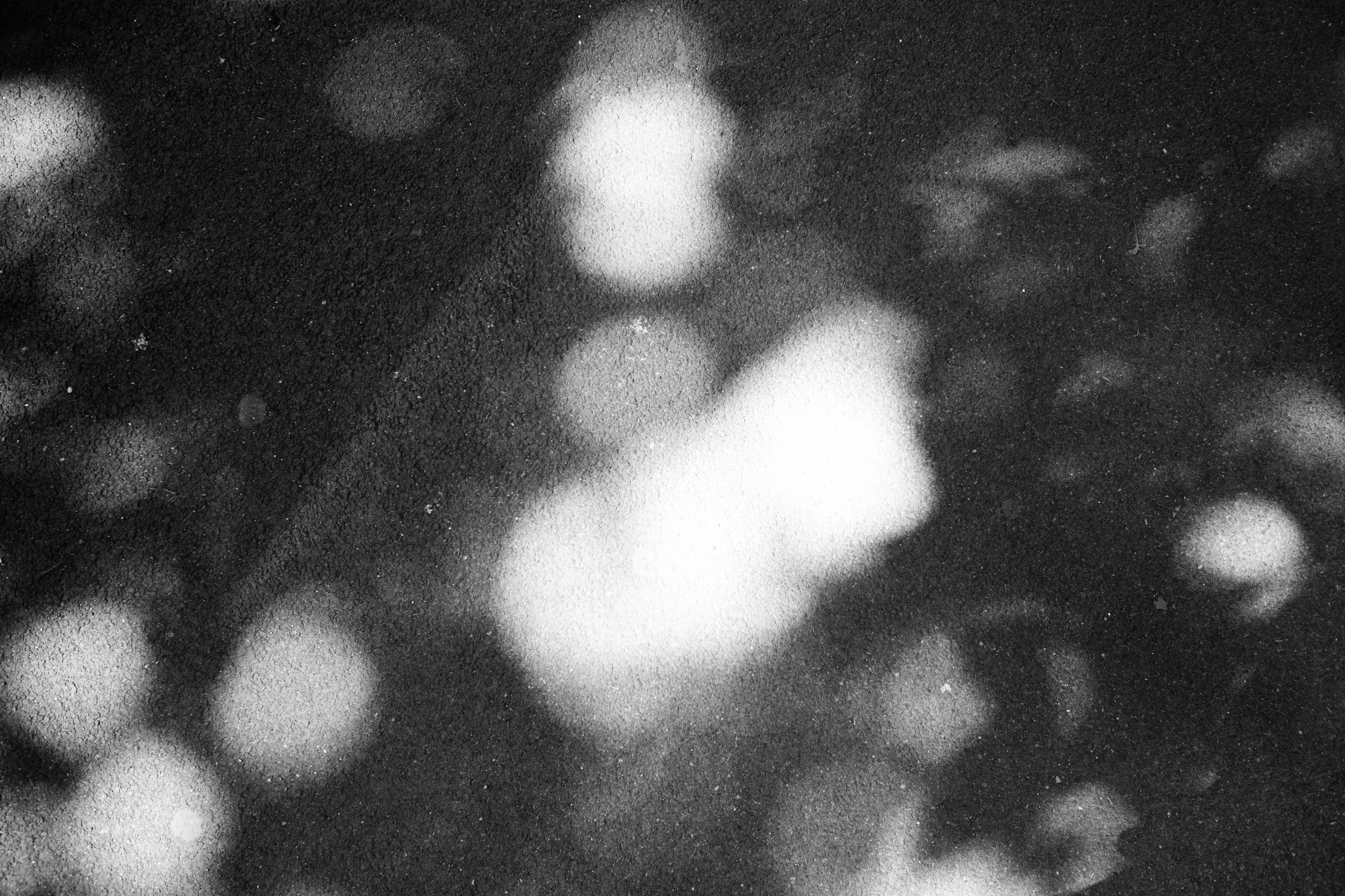 _DSF6367 2.JPG