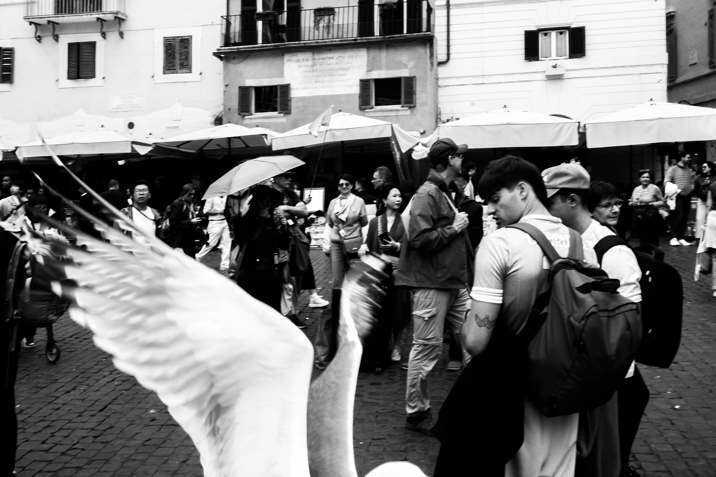 Roma