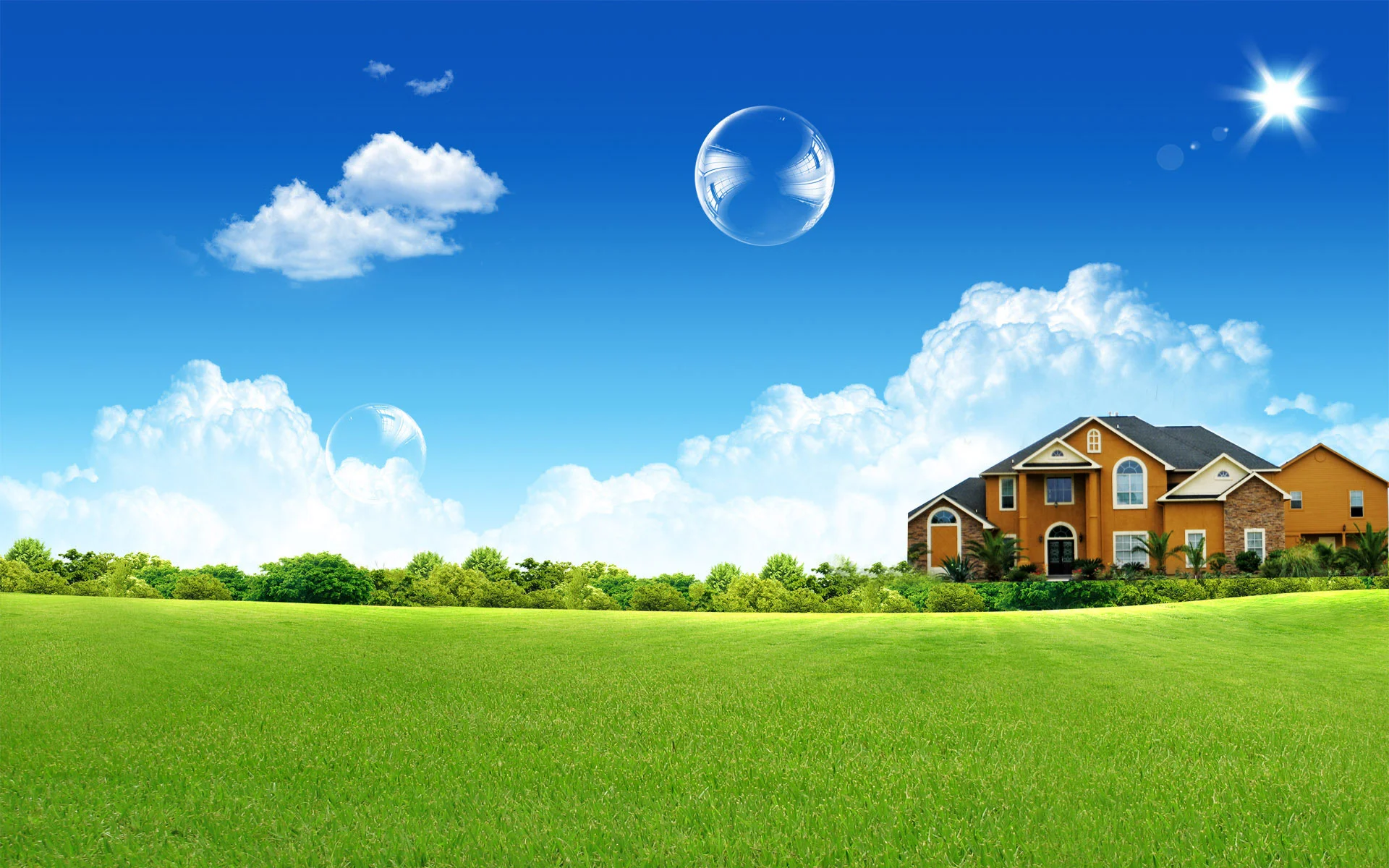 background.jpg