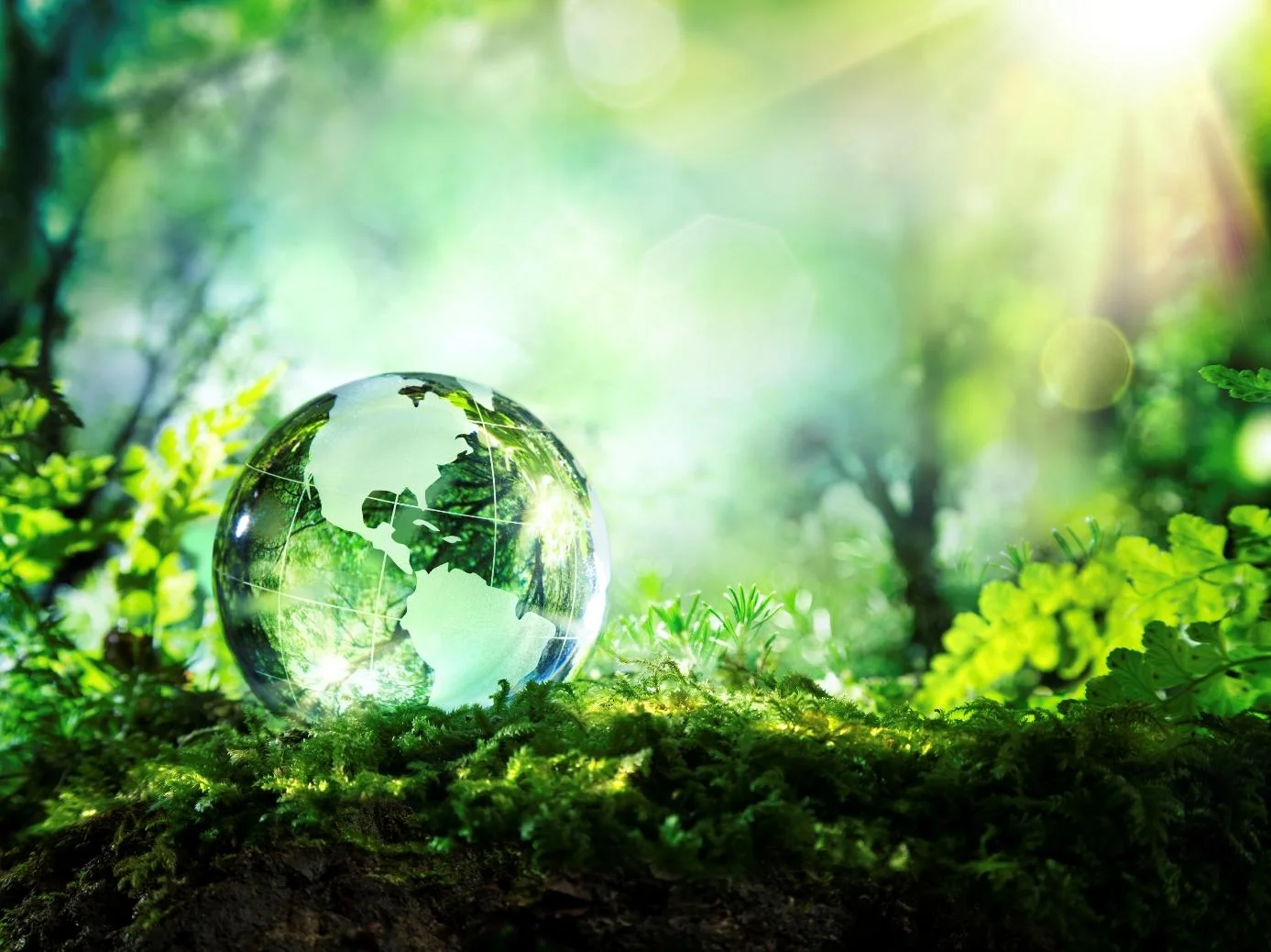 Eco-friendly.jpg